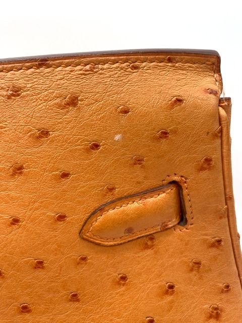 Birkin 35 avestruz