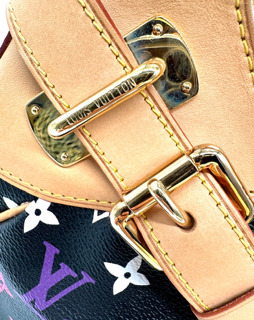 Bolso Louis Vuitton Greta de cuero multicolor,