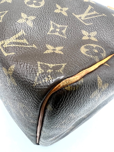 Bolso Speedy 25 Louis Vuitton
