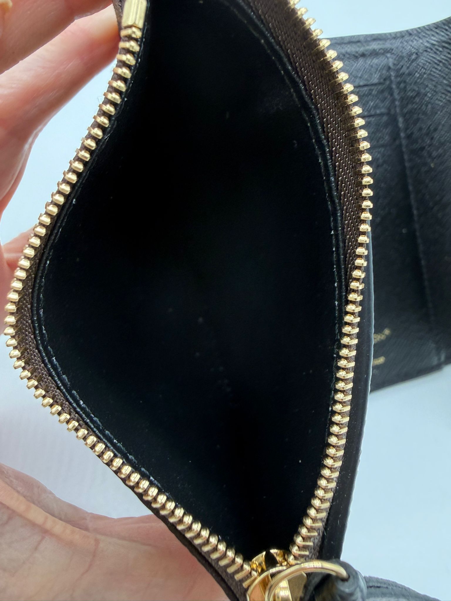 cartera Louis Vuitton modelo Victorine