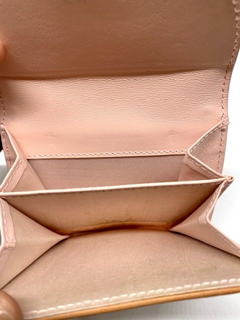 Cartera Dior