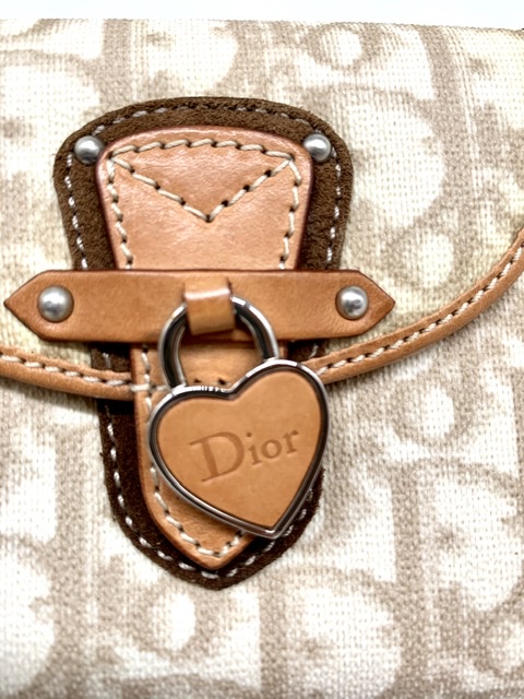 Cartera Dior