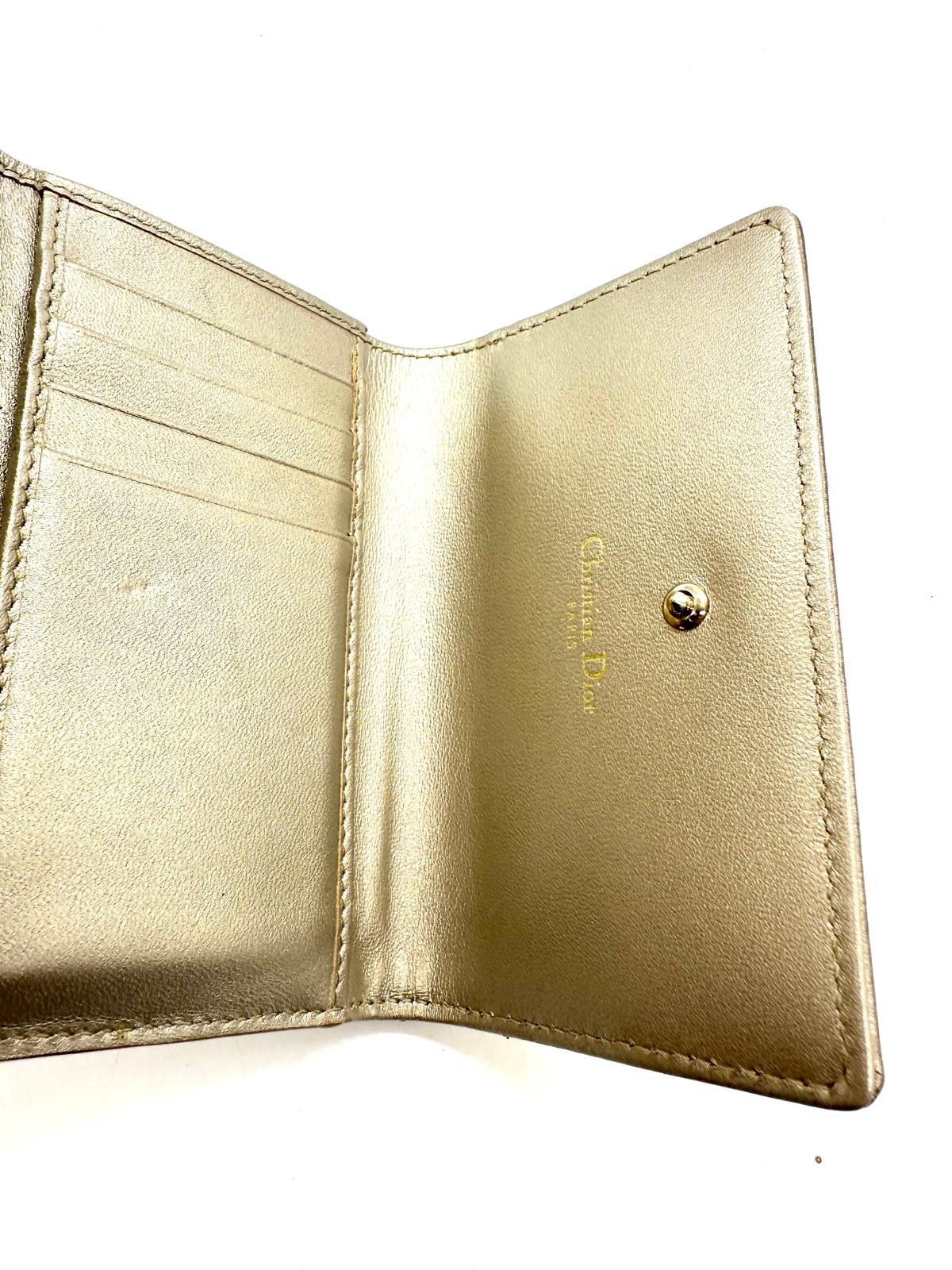 Cartera Dior