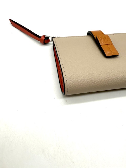 cartera multicolor Loewe