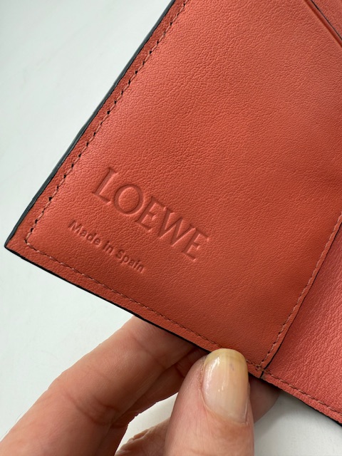 cartera multicolor Loewe