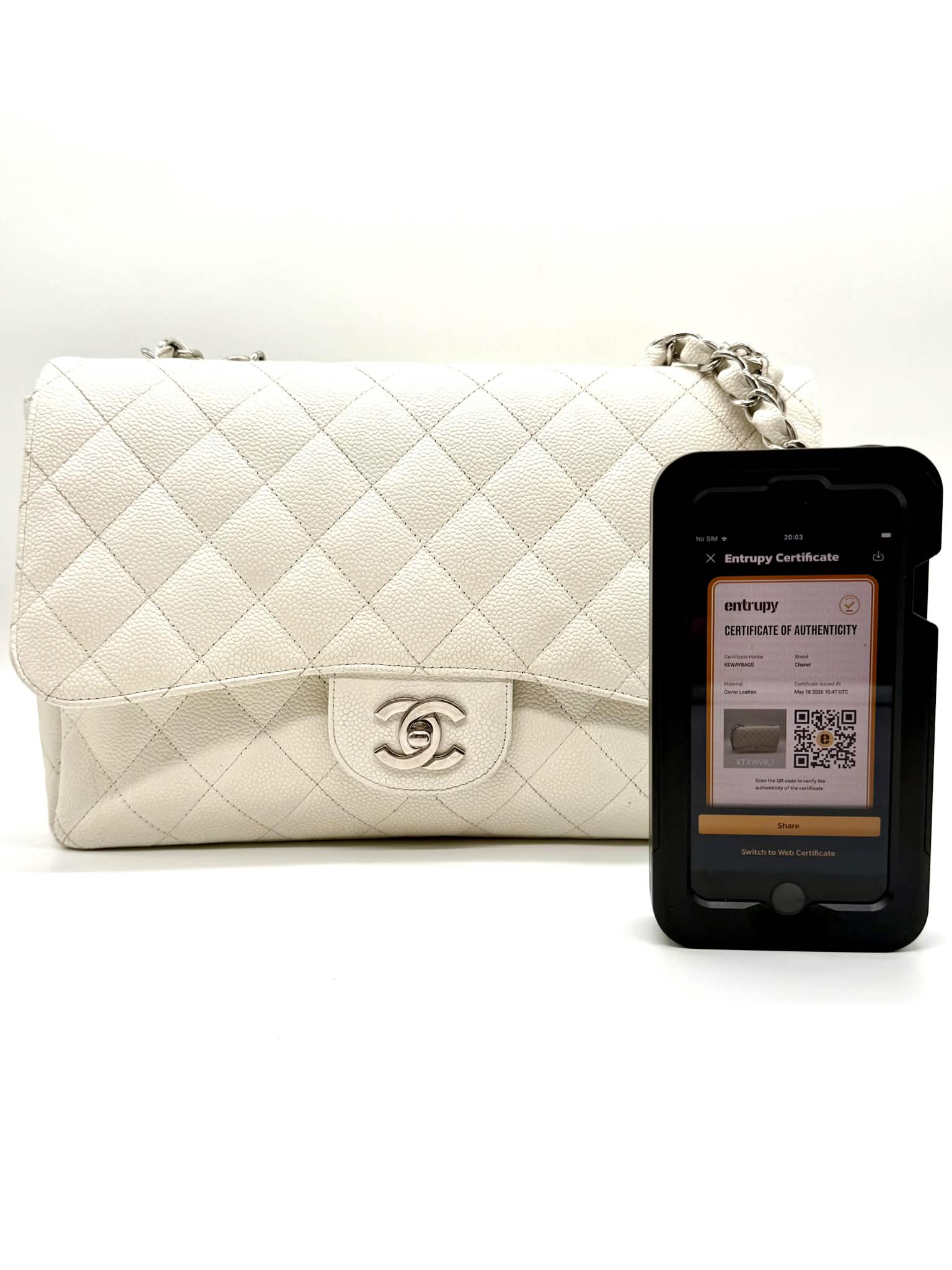 Chanel Flap