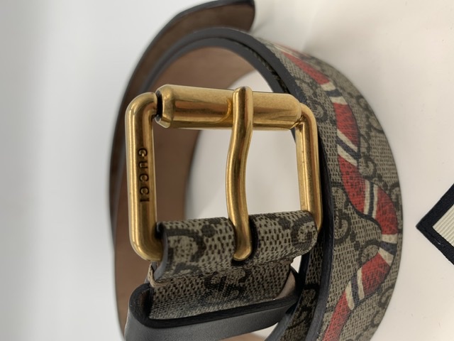 Cinturón Gucci snake