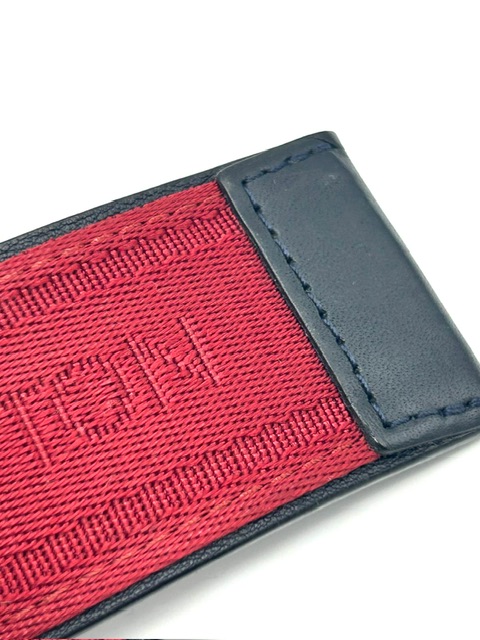 Cinturon Louis Vuitton tela