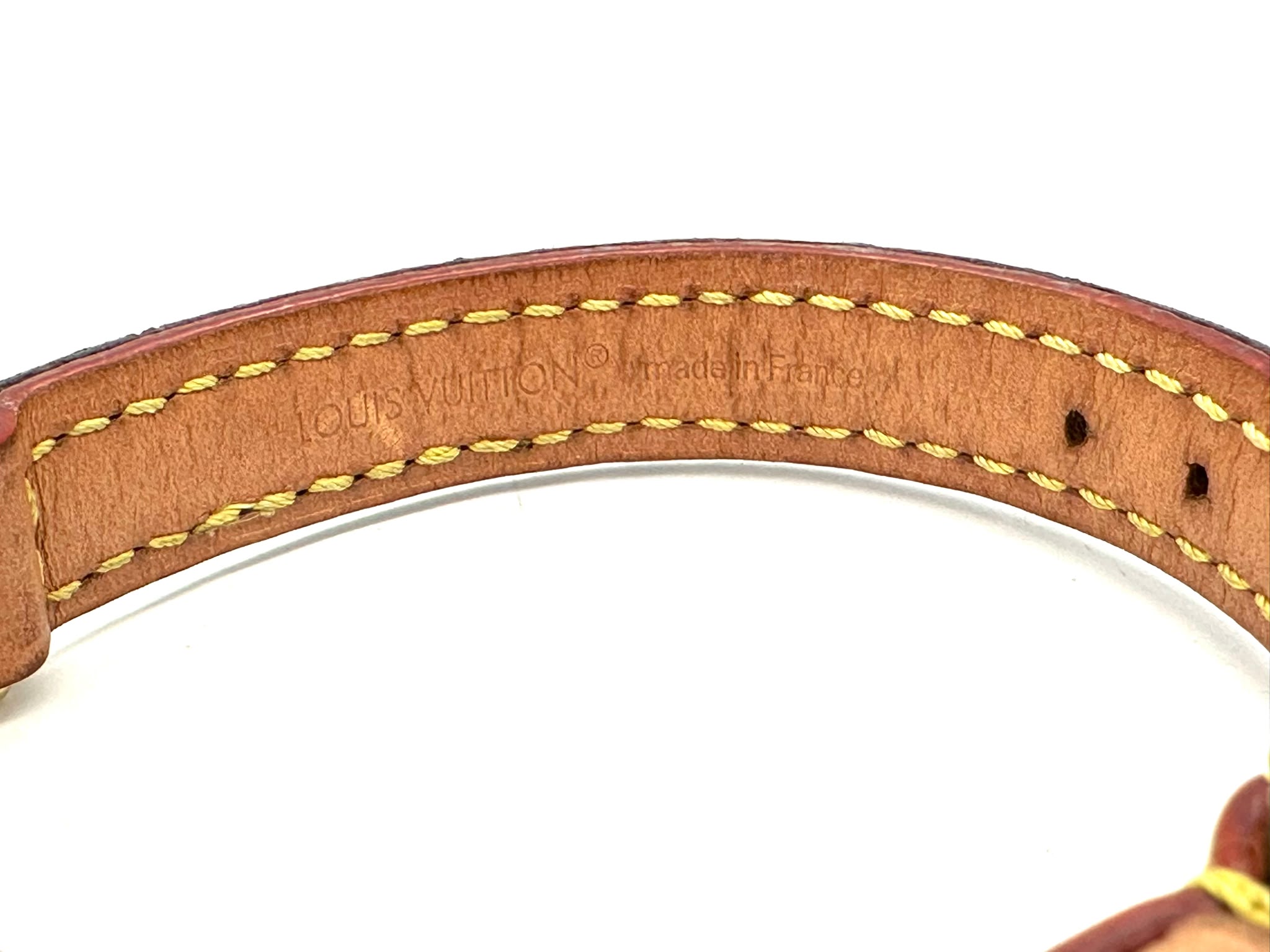 collar de perro Louis Vuitton