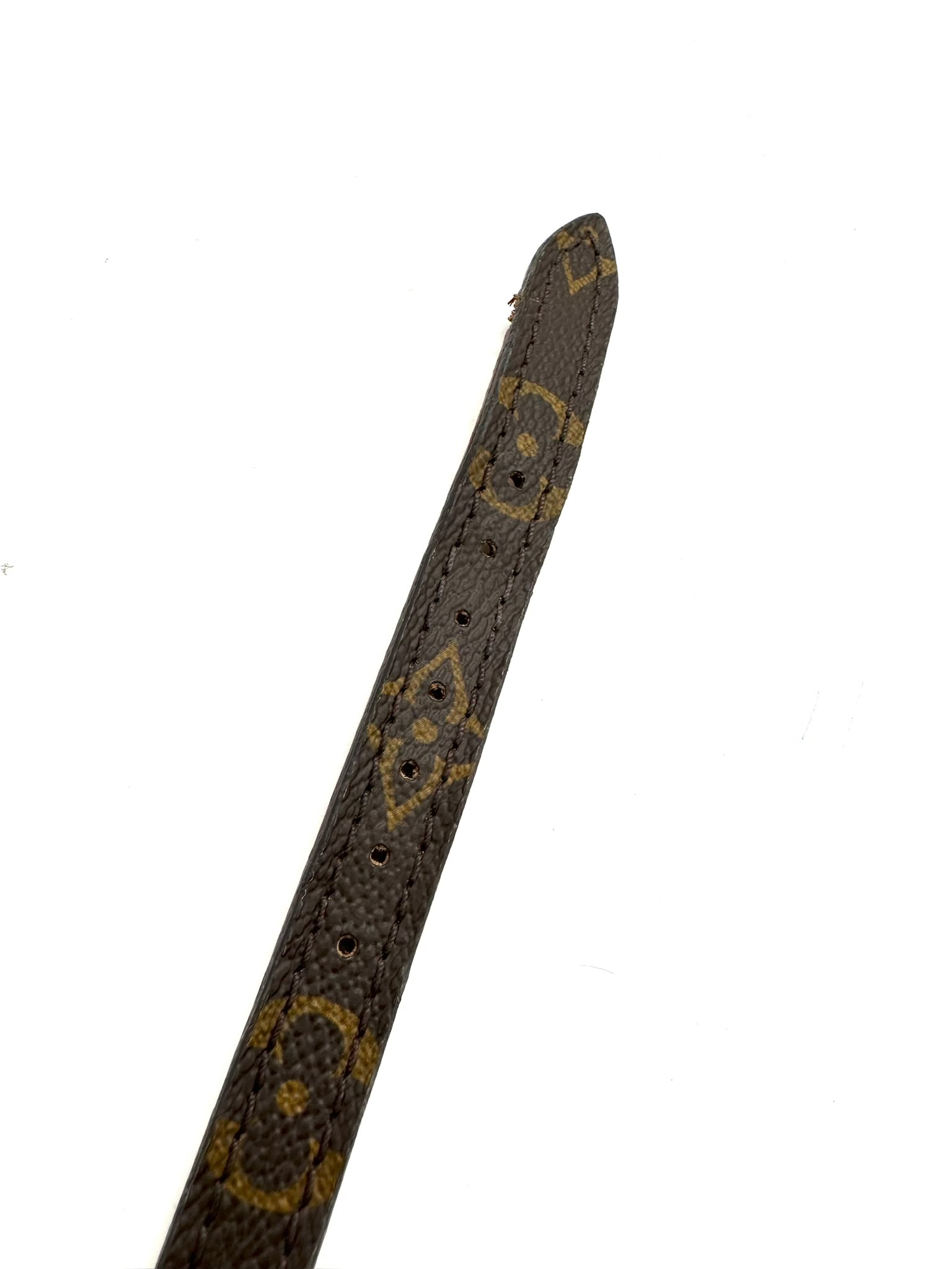 collar de perro Louis Vuitton
