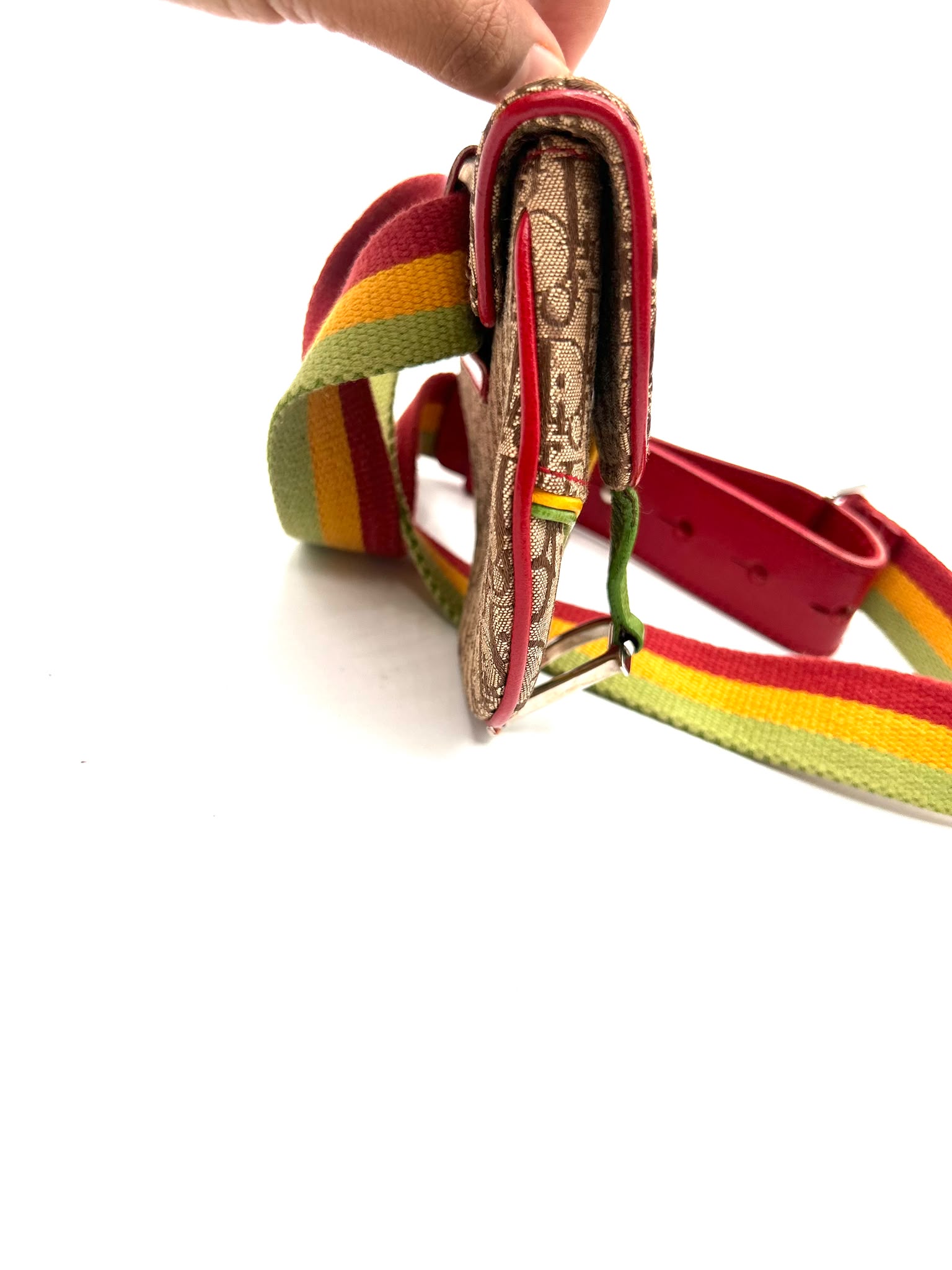 Dior Belt Bag Rasta Edition