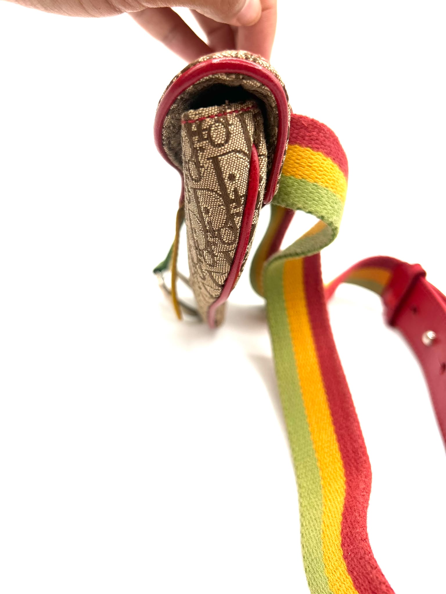 Dior Belt Bag Rasta Edition