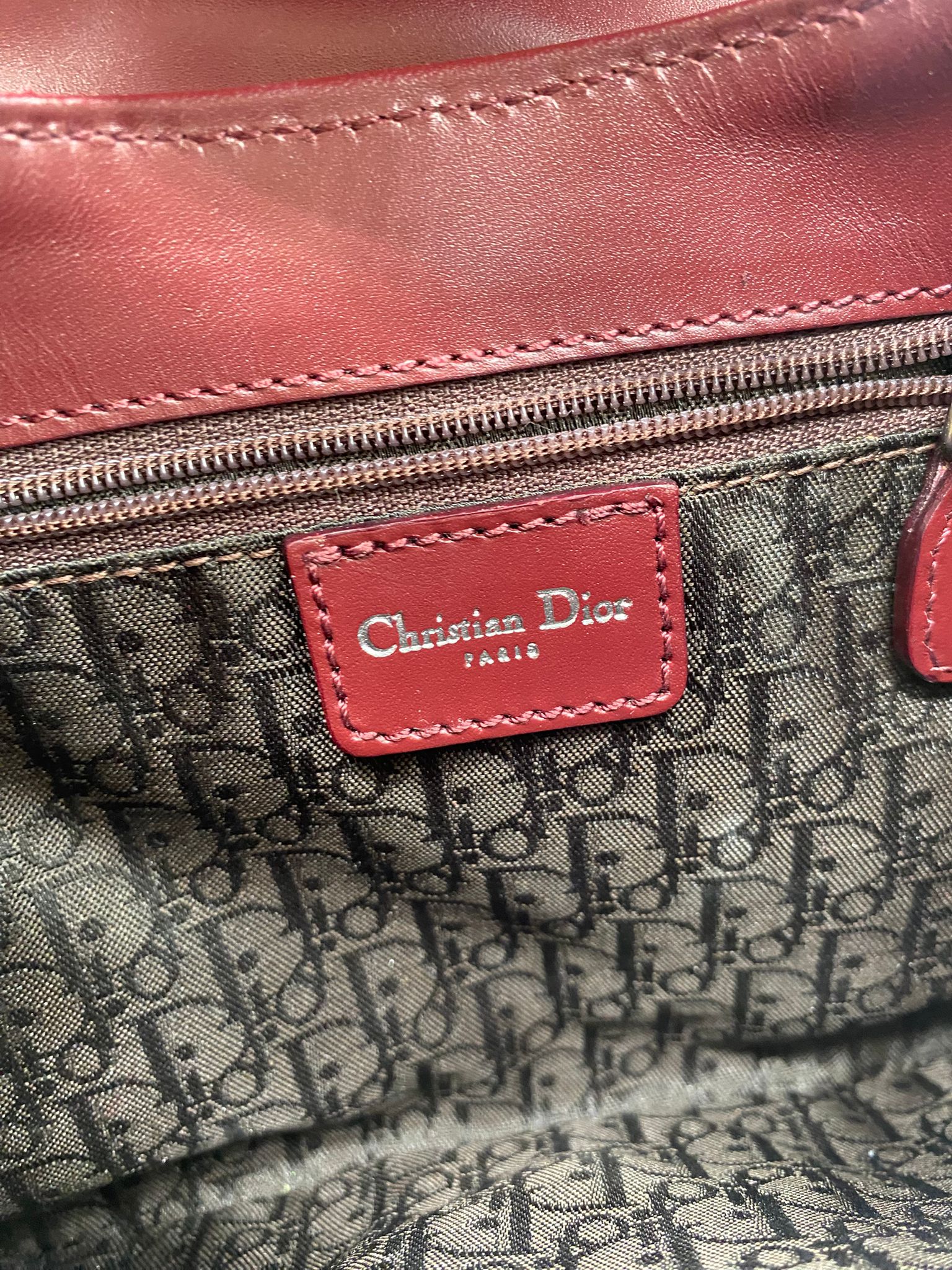 dior piel de serpiente de agua