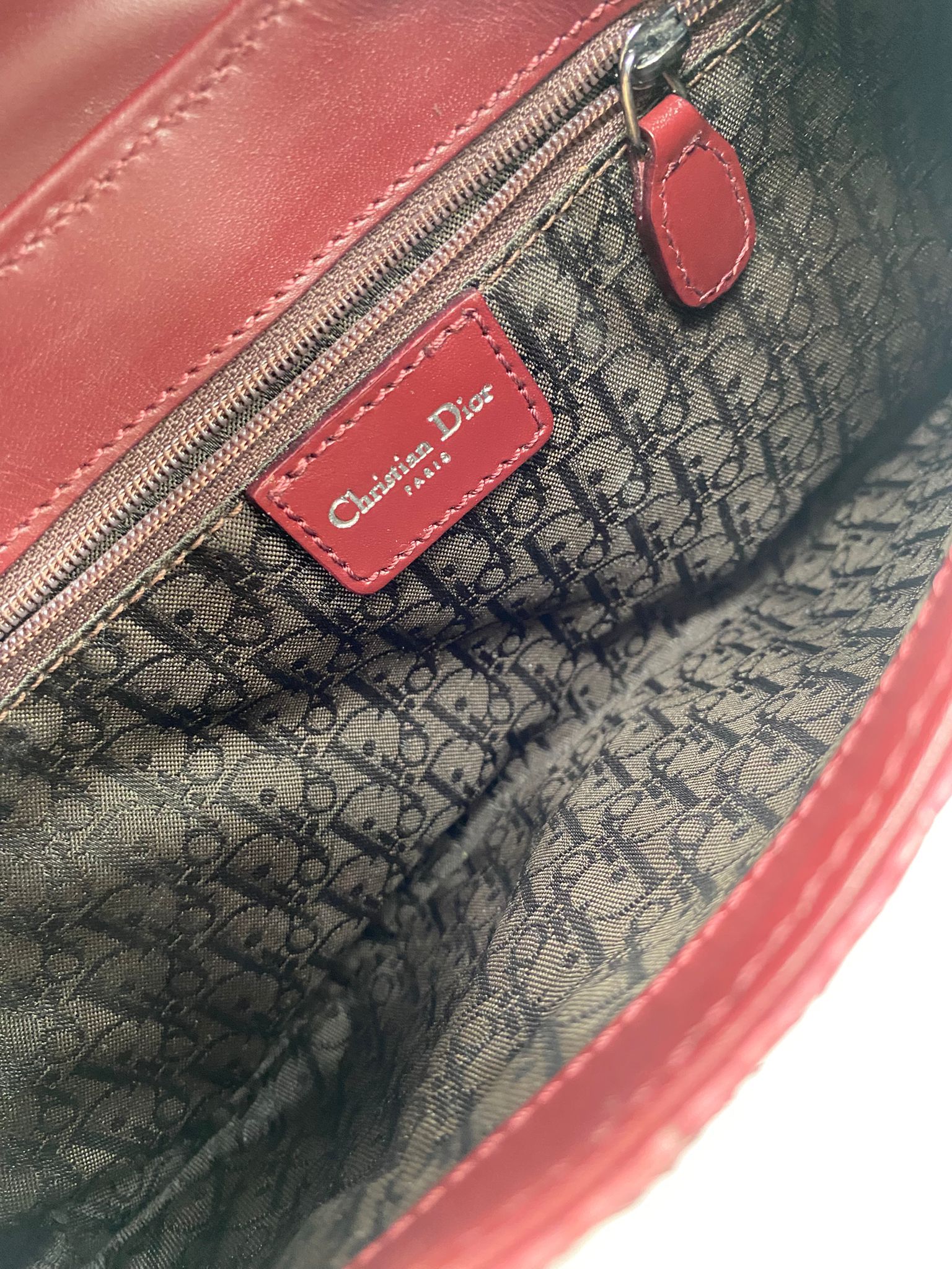 dior piel de serpiente de agua