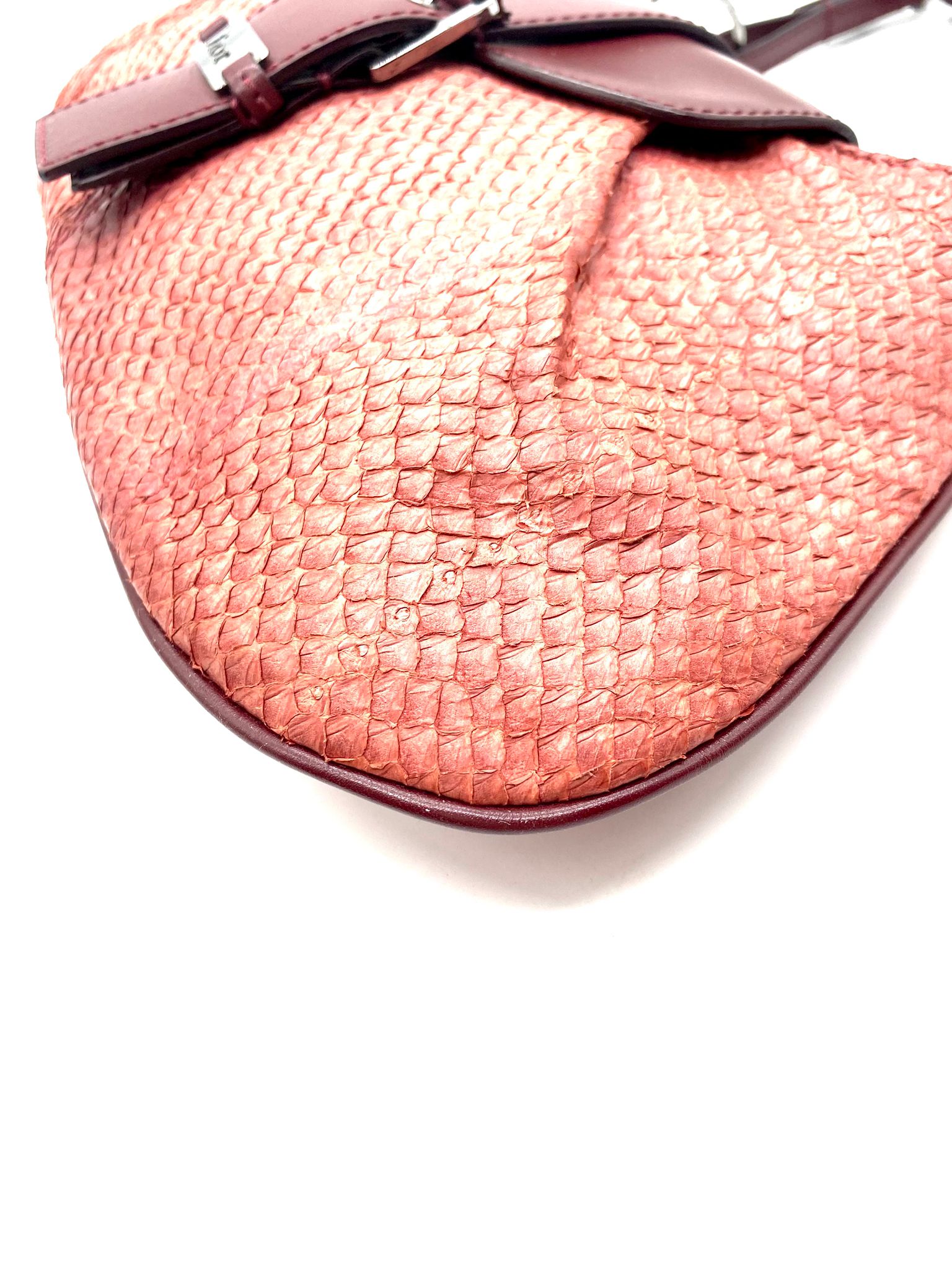 dior piel de serpiente de agua
