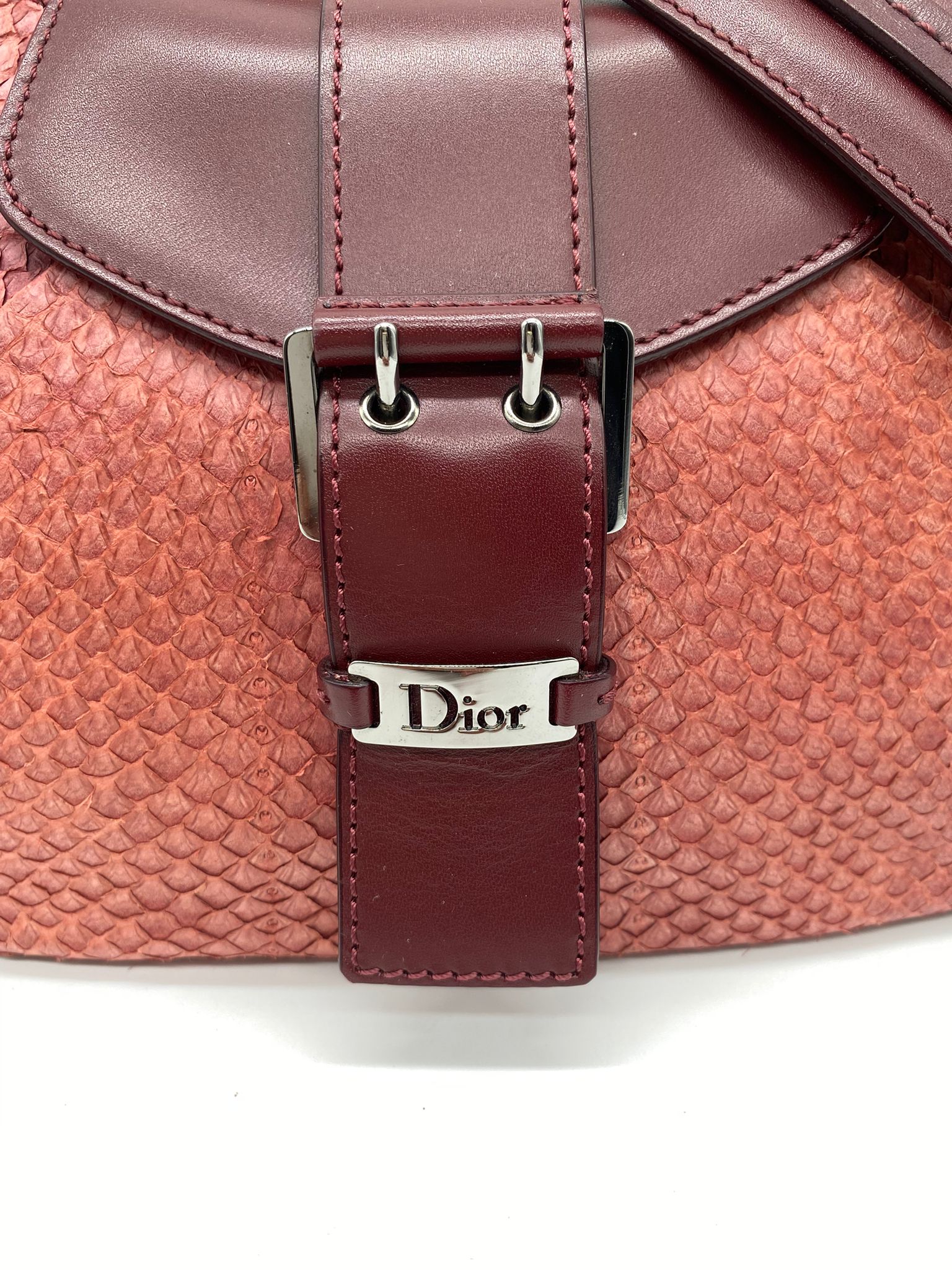 dior piel de serpiente de agua