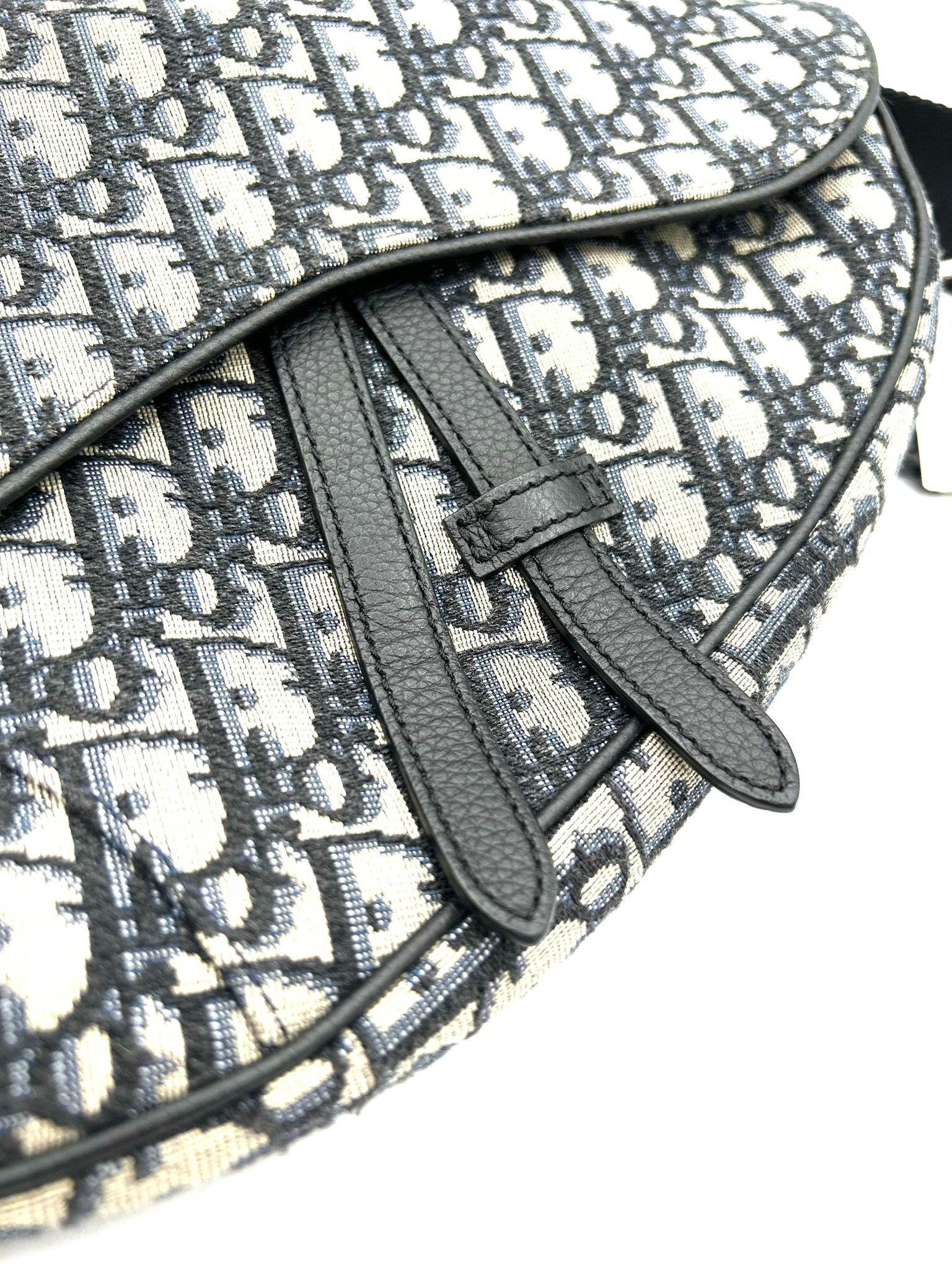 Dior Saddle Home