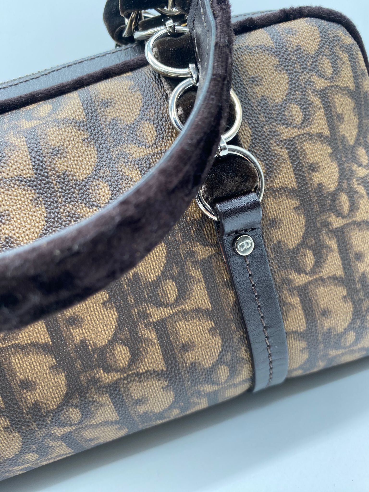 Dior Trotter