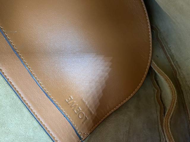 Fortune Hobo de Loewe