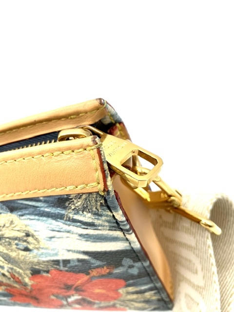 Gaston Wearable Wallet Surf Louis Vuitton