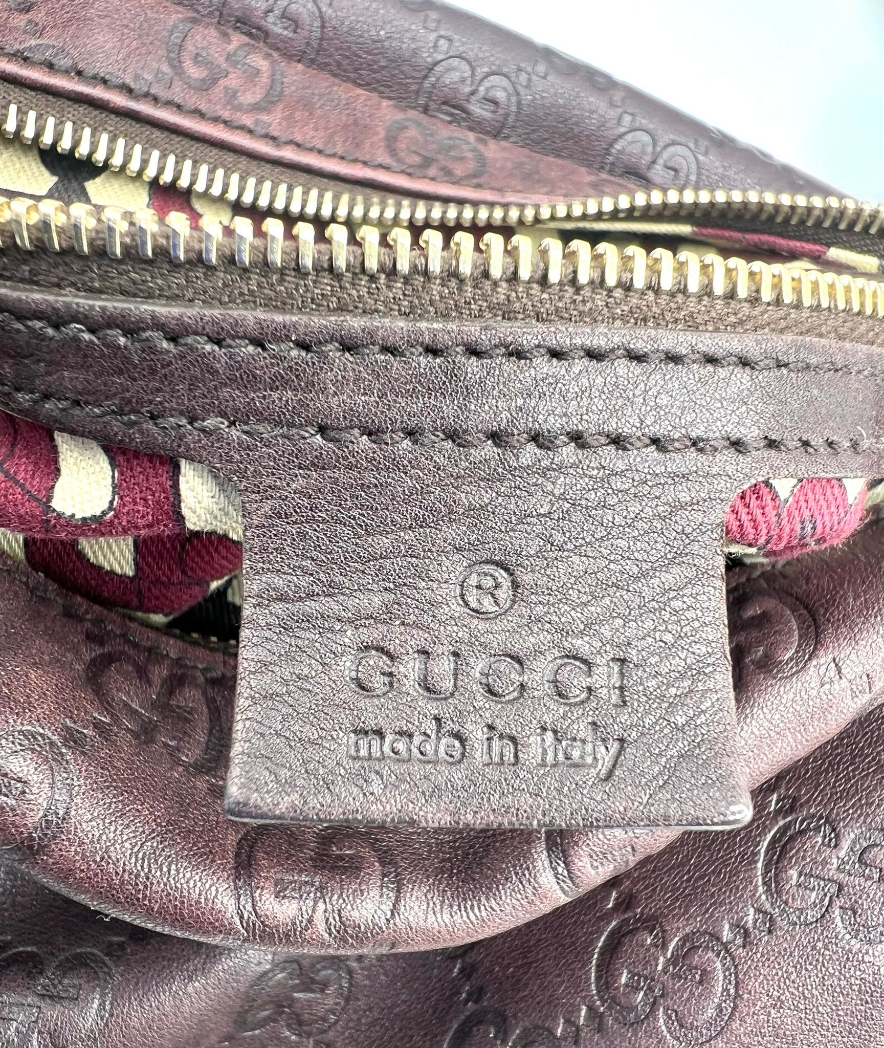 Gucci Hobo Guccissima
