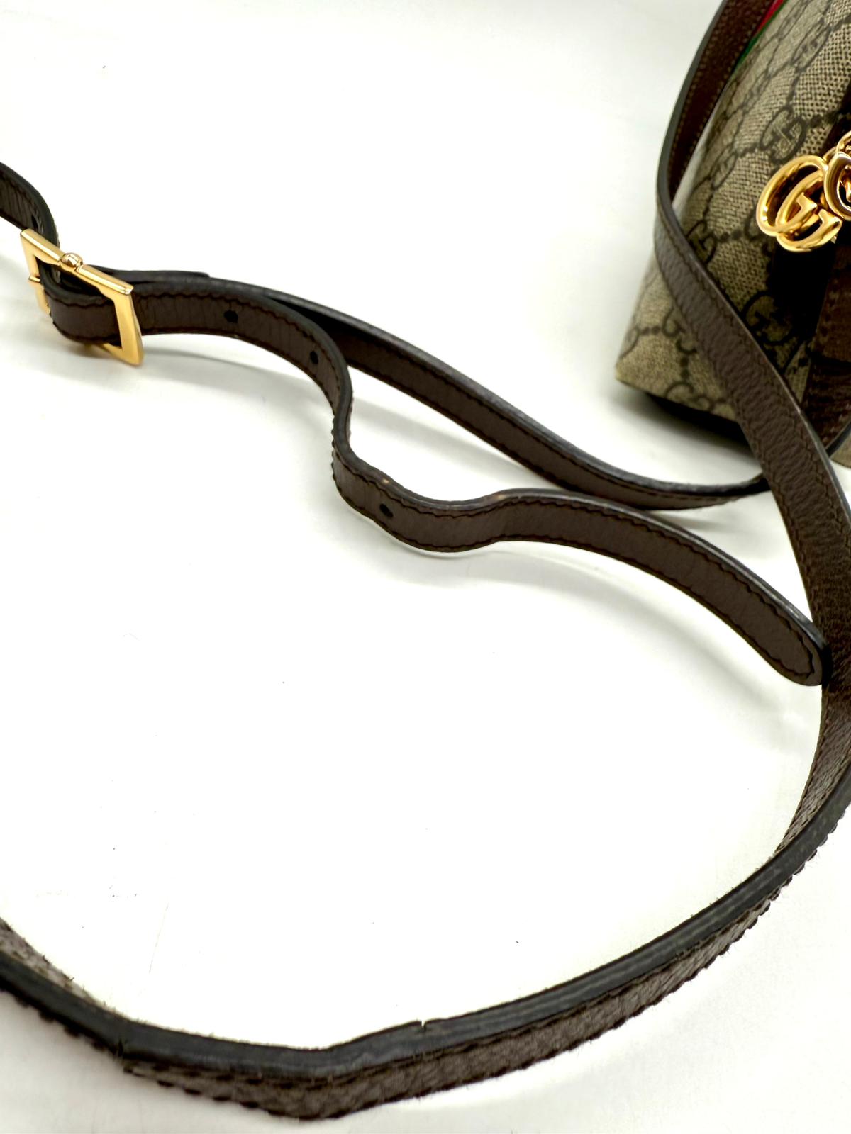 Gucci Ophidia dome