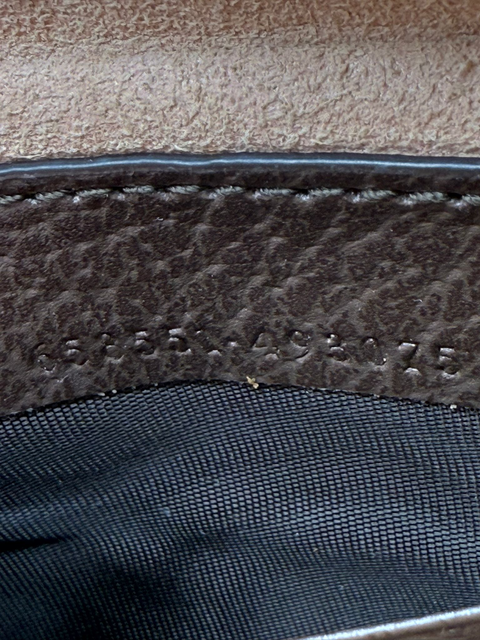gucci ophidia mini hobo