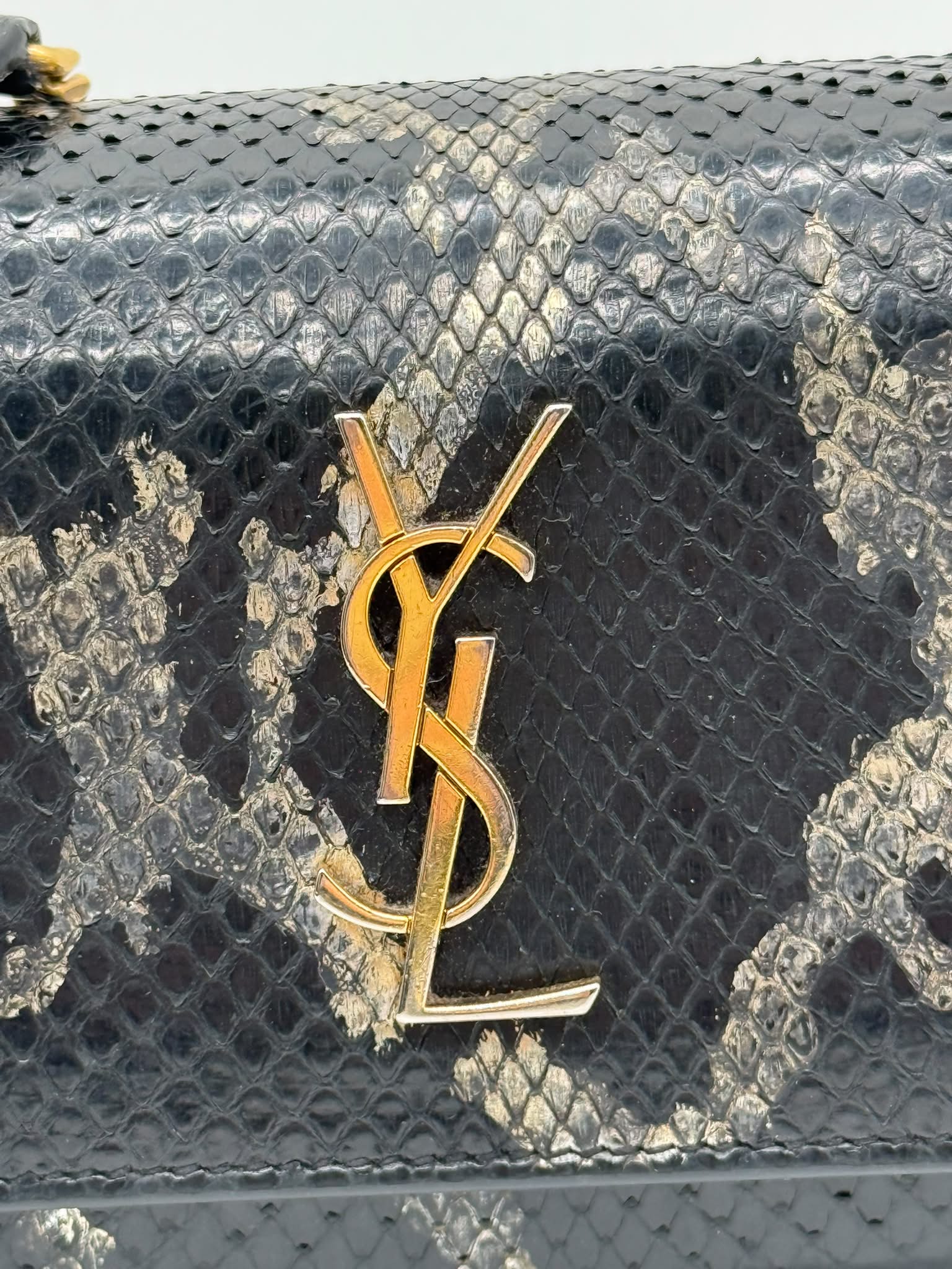 Kate Saint Laurent en piel de serpiente
