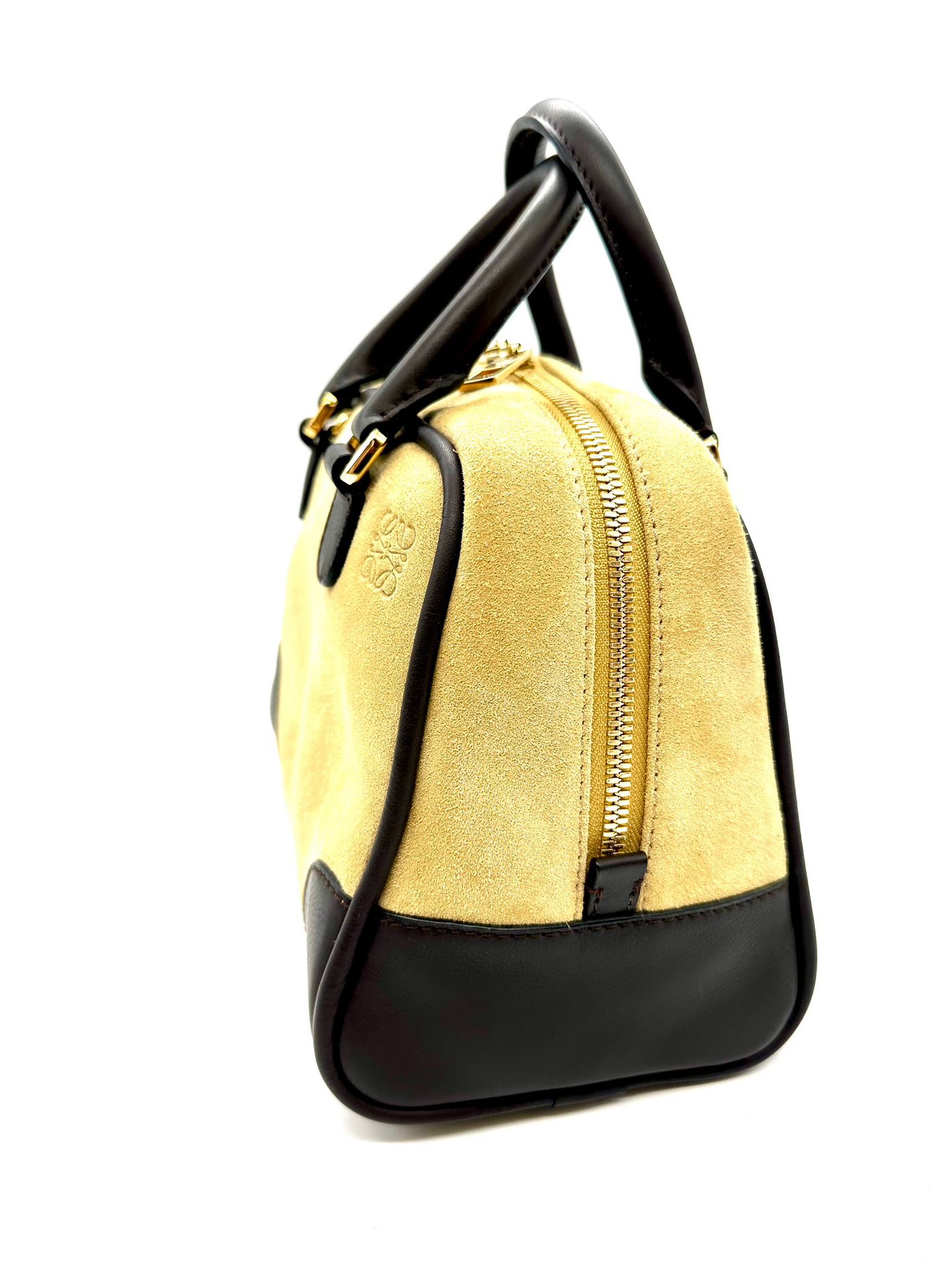 Loewe Amazona