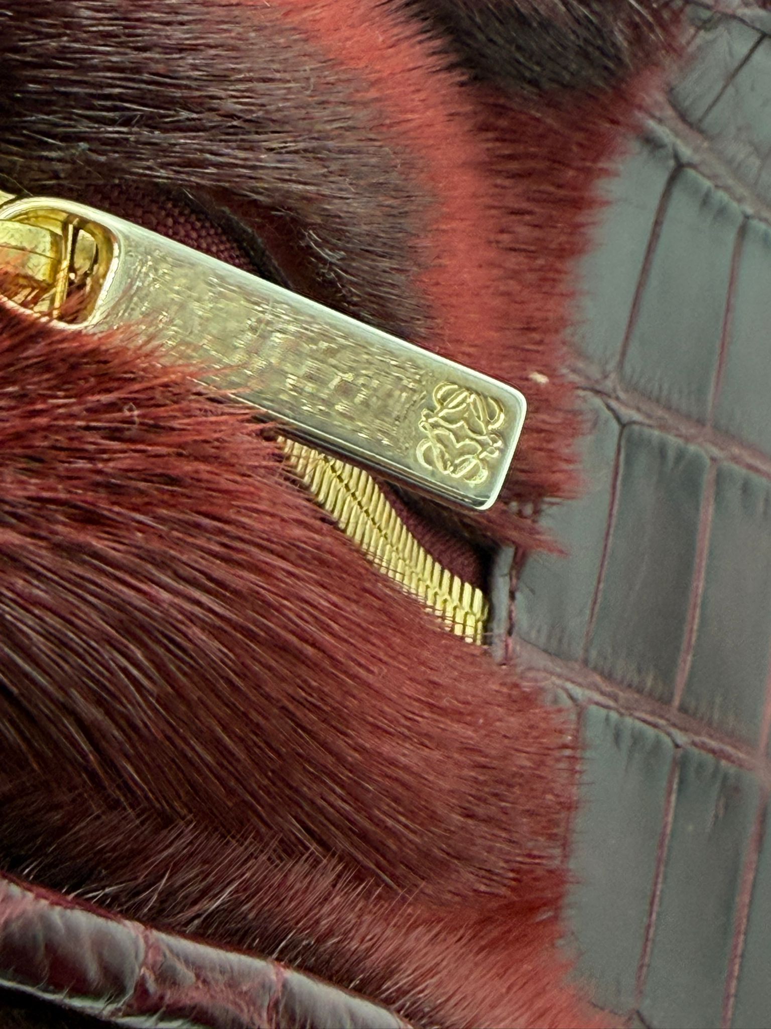 Loewe Amazona