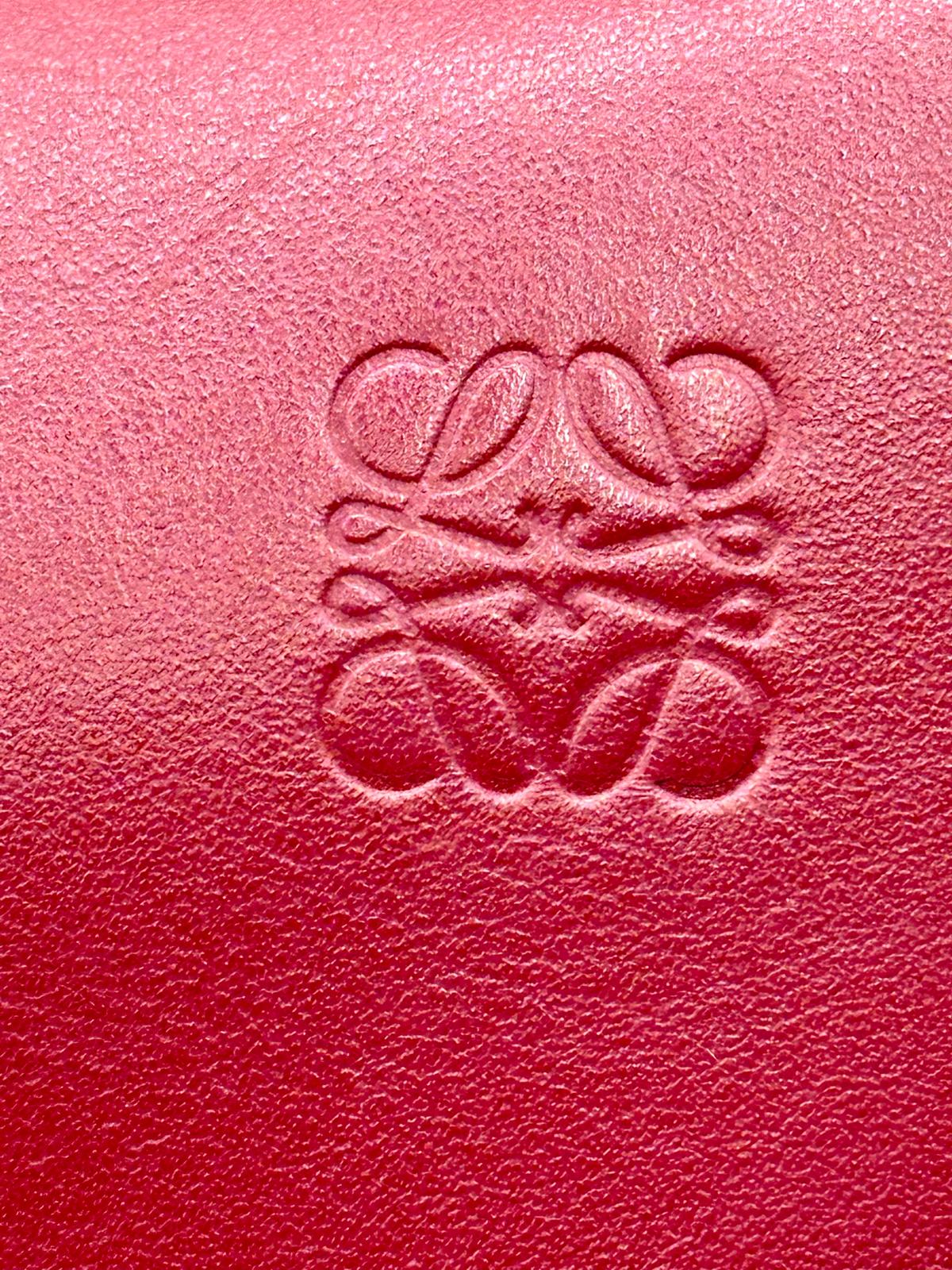 loewe gate