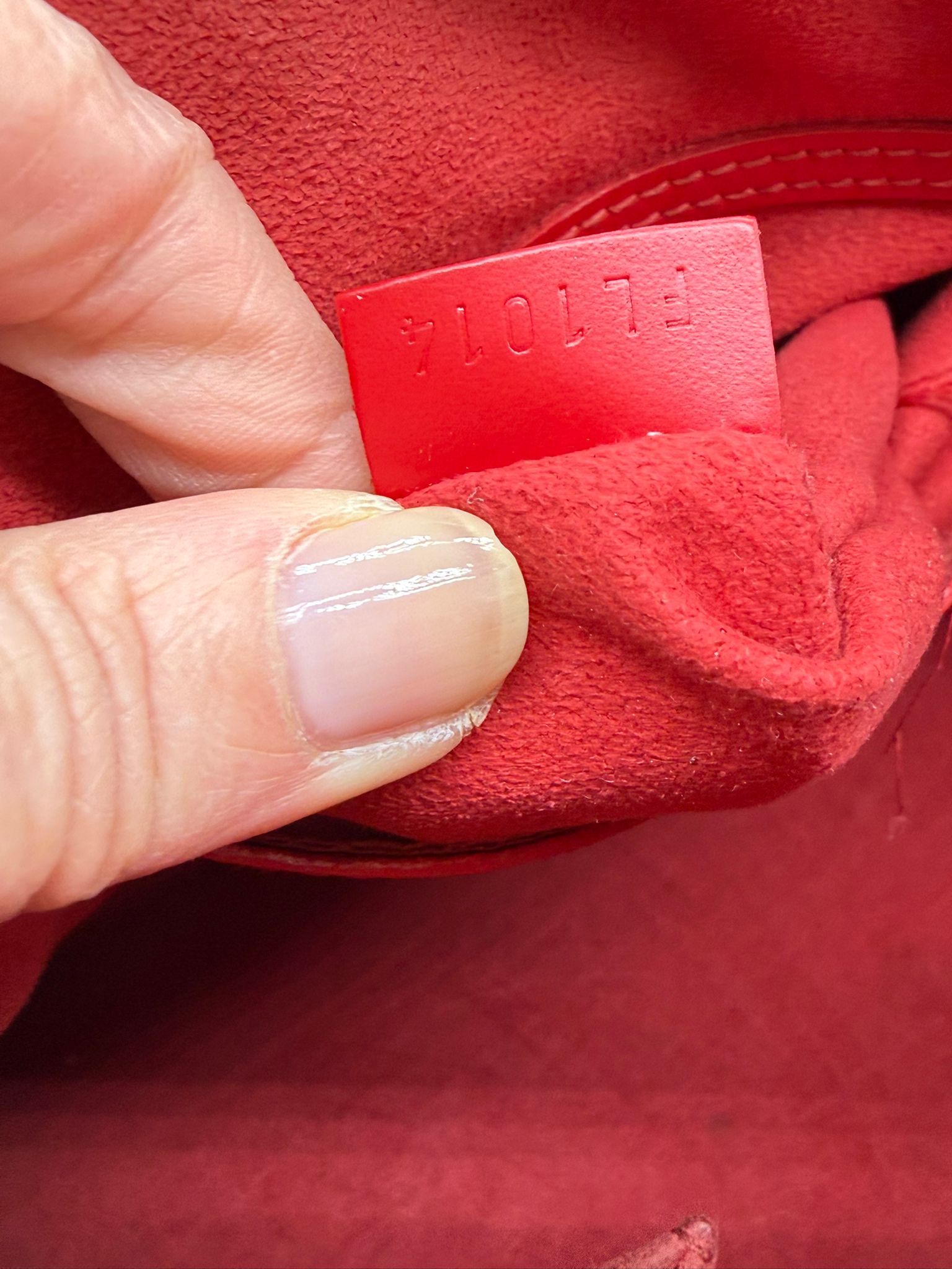 Louis Vuitton Alma Epi