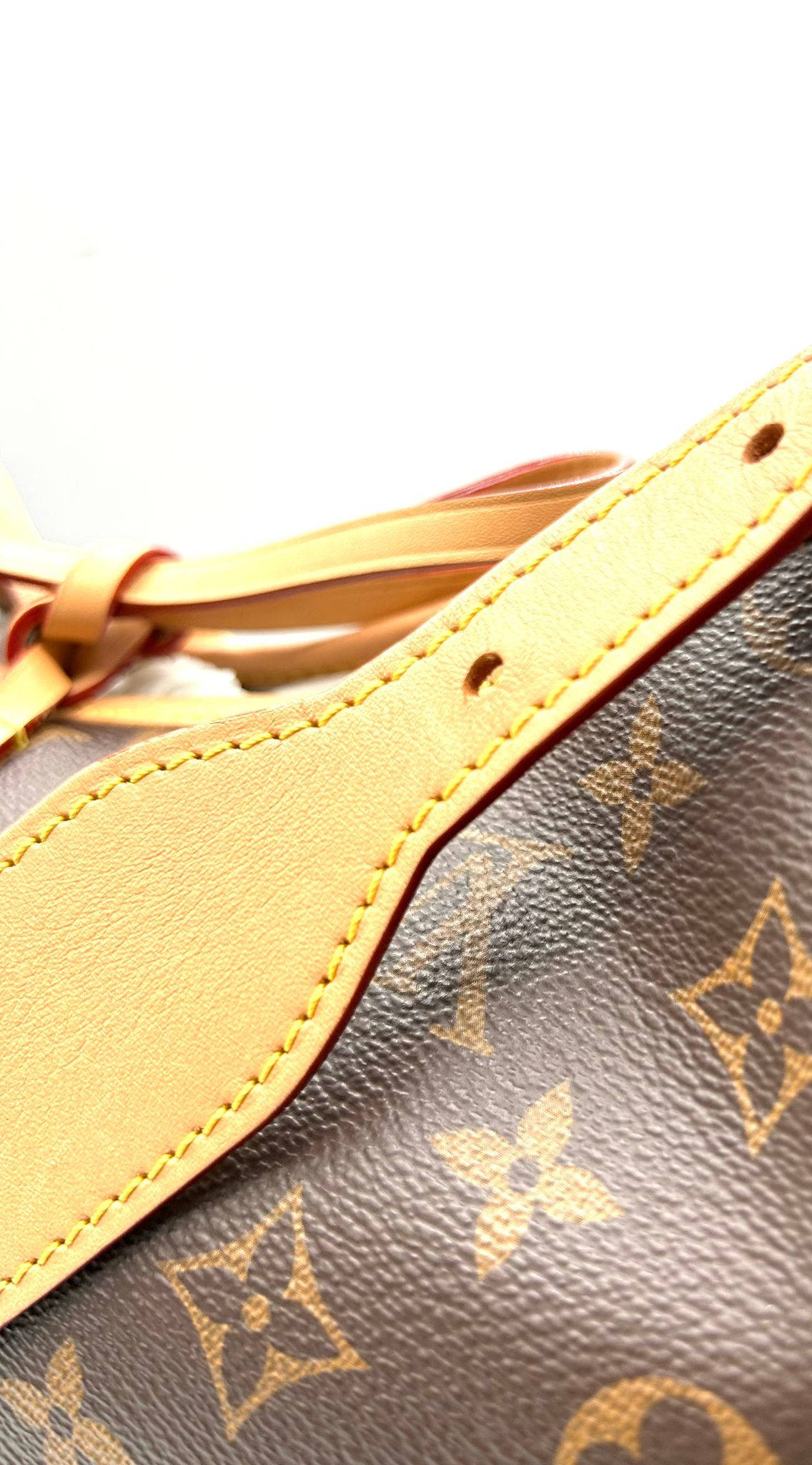 louis vuitton carry all