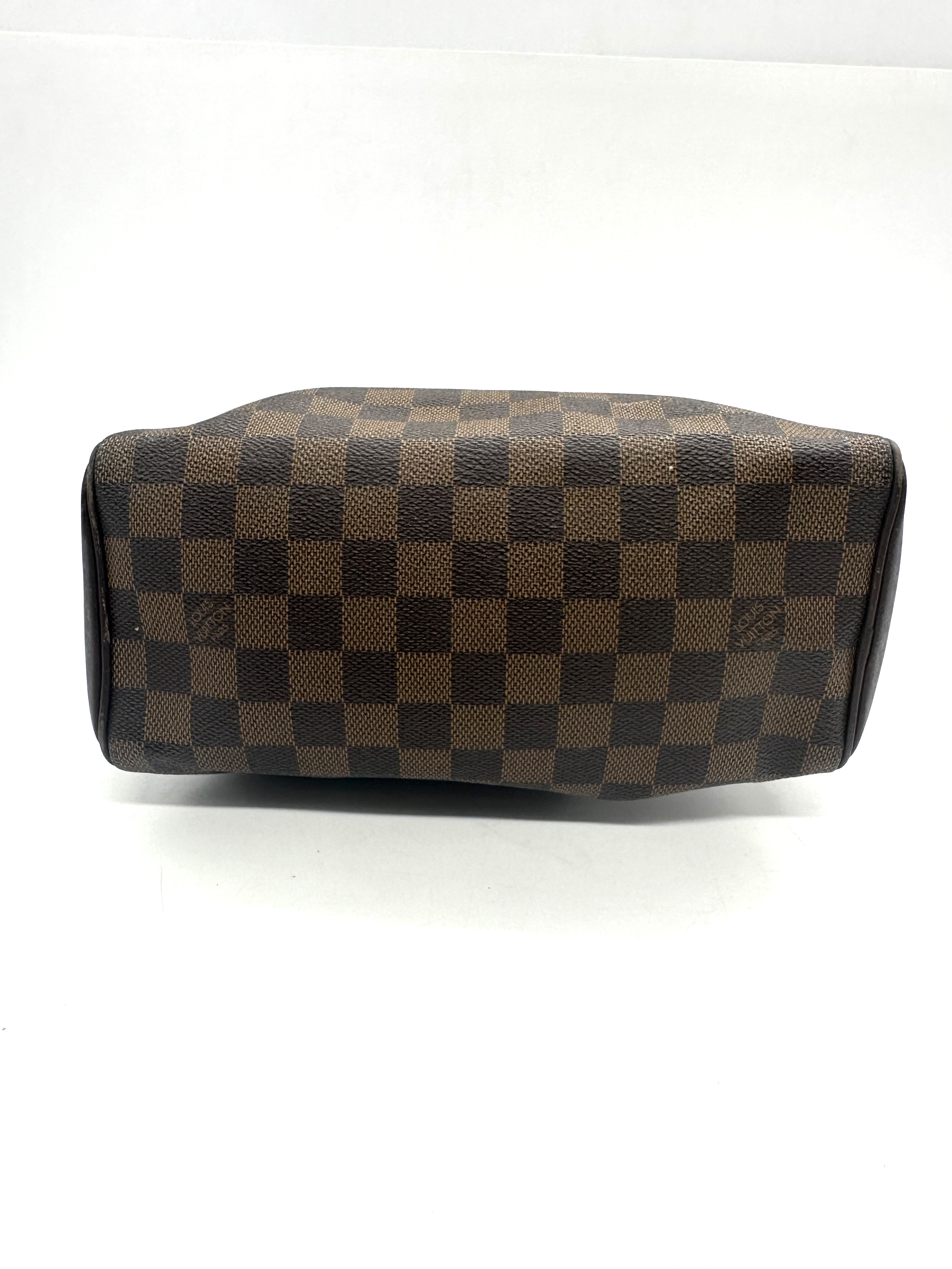 Louis Vuitton Damier Ebene