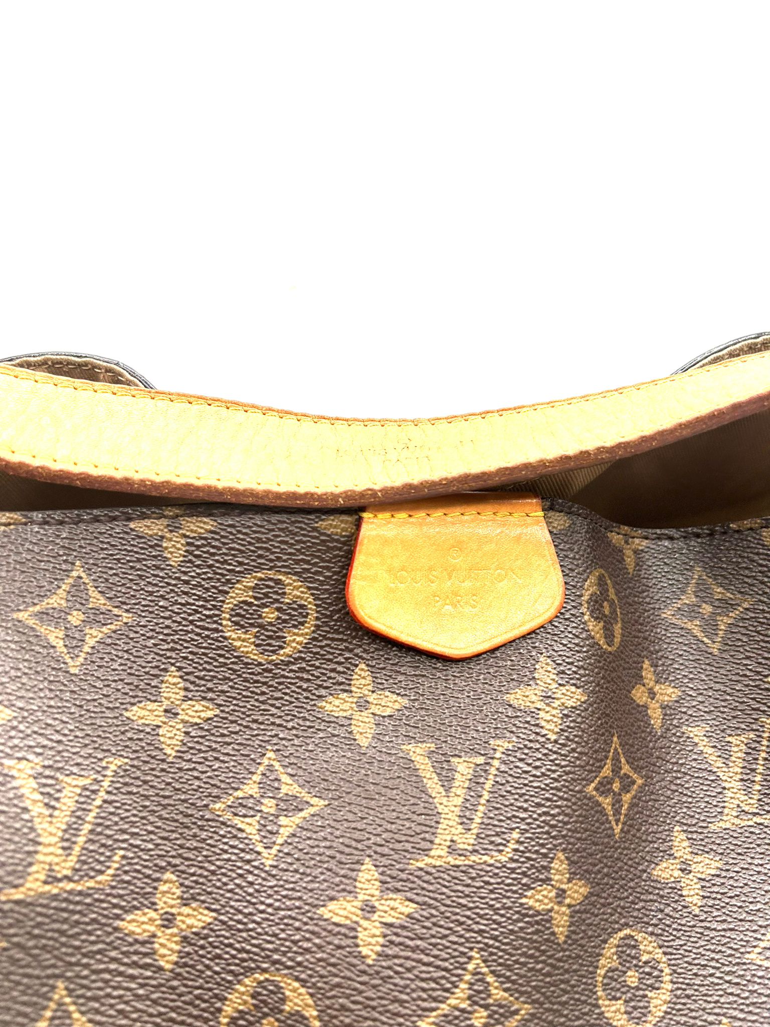 louis vuitton delightful
