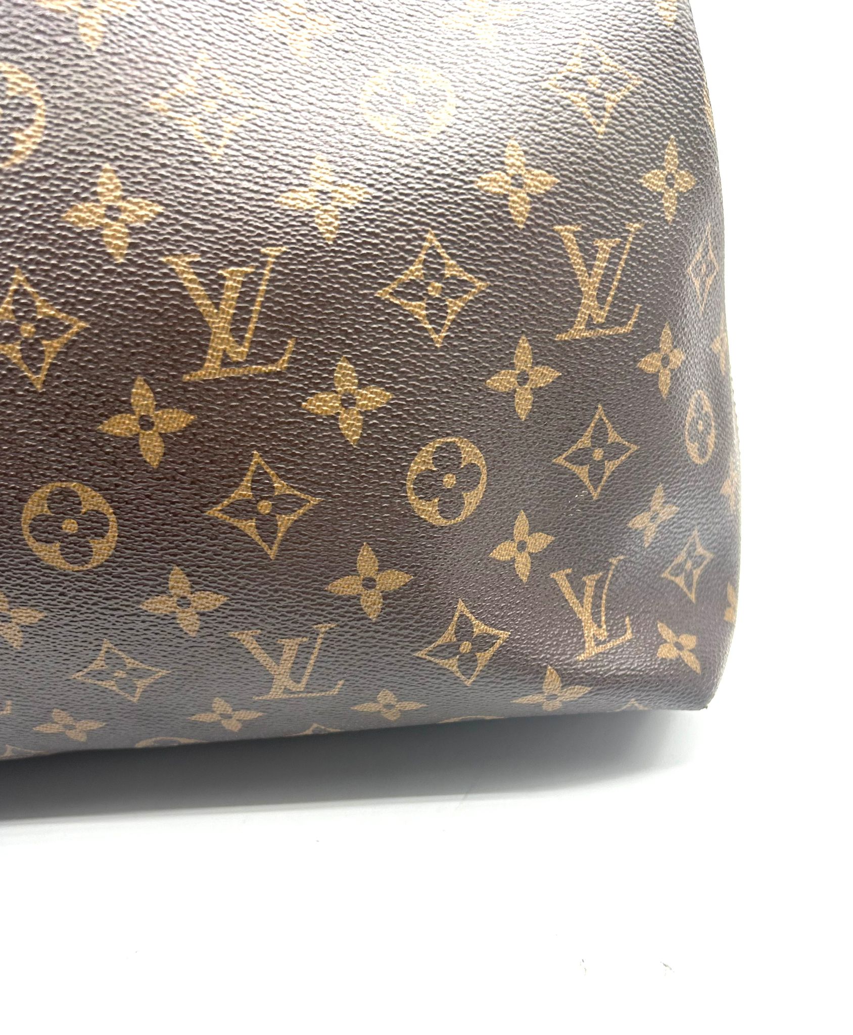 louis vuitton delightful