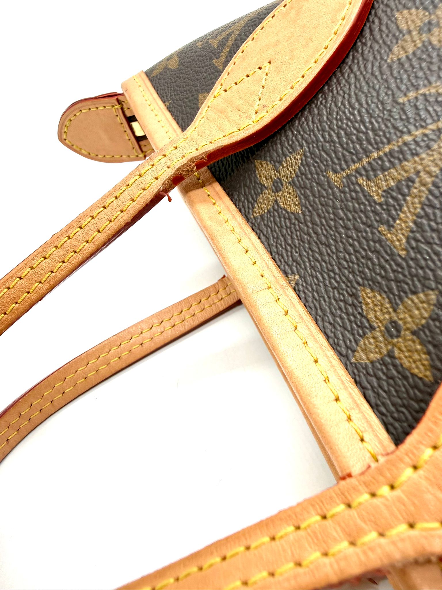 Louis Vuitton Nano Neverfull