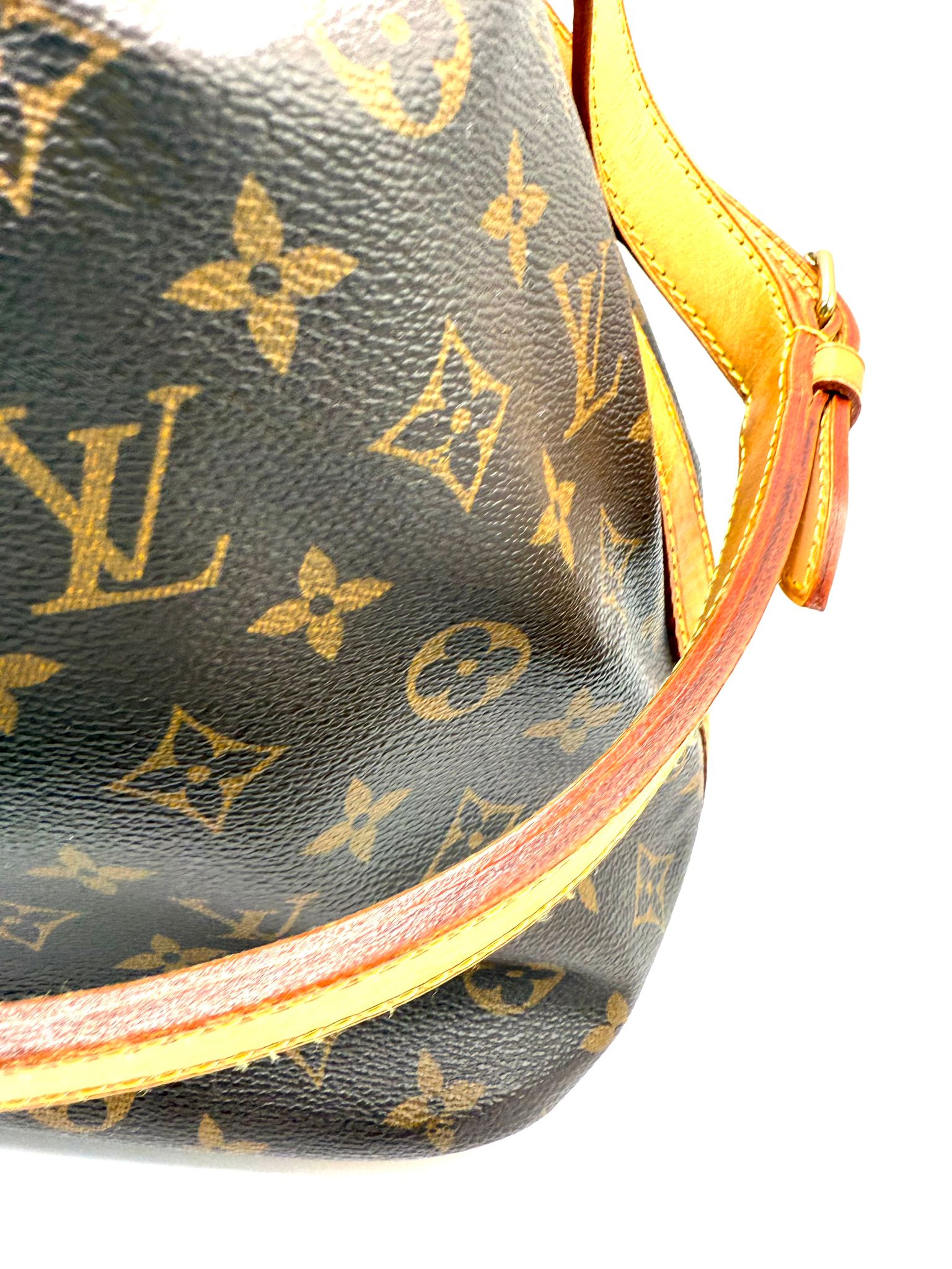 Louis Vuitton Noé Monogram