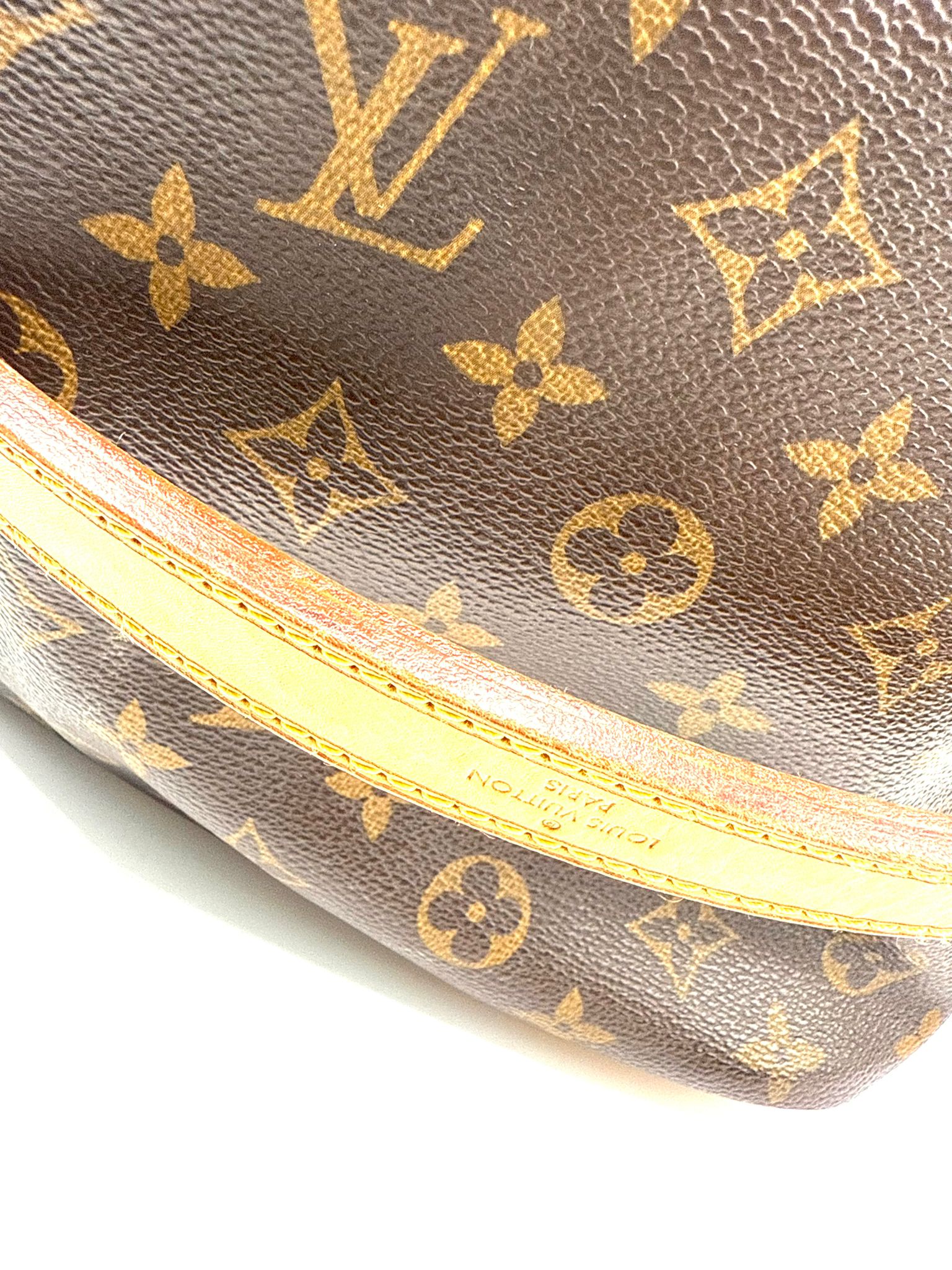 Louis Vuitton Noé Monogram