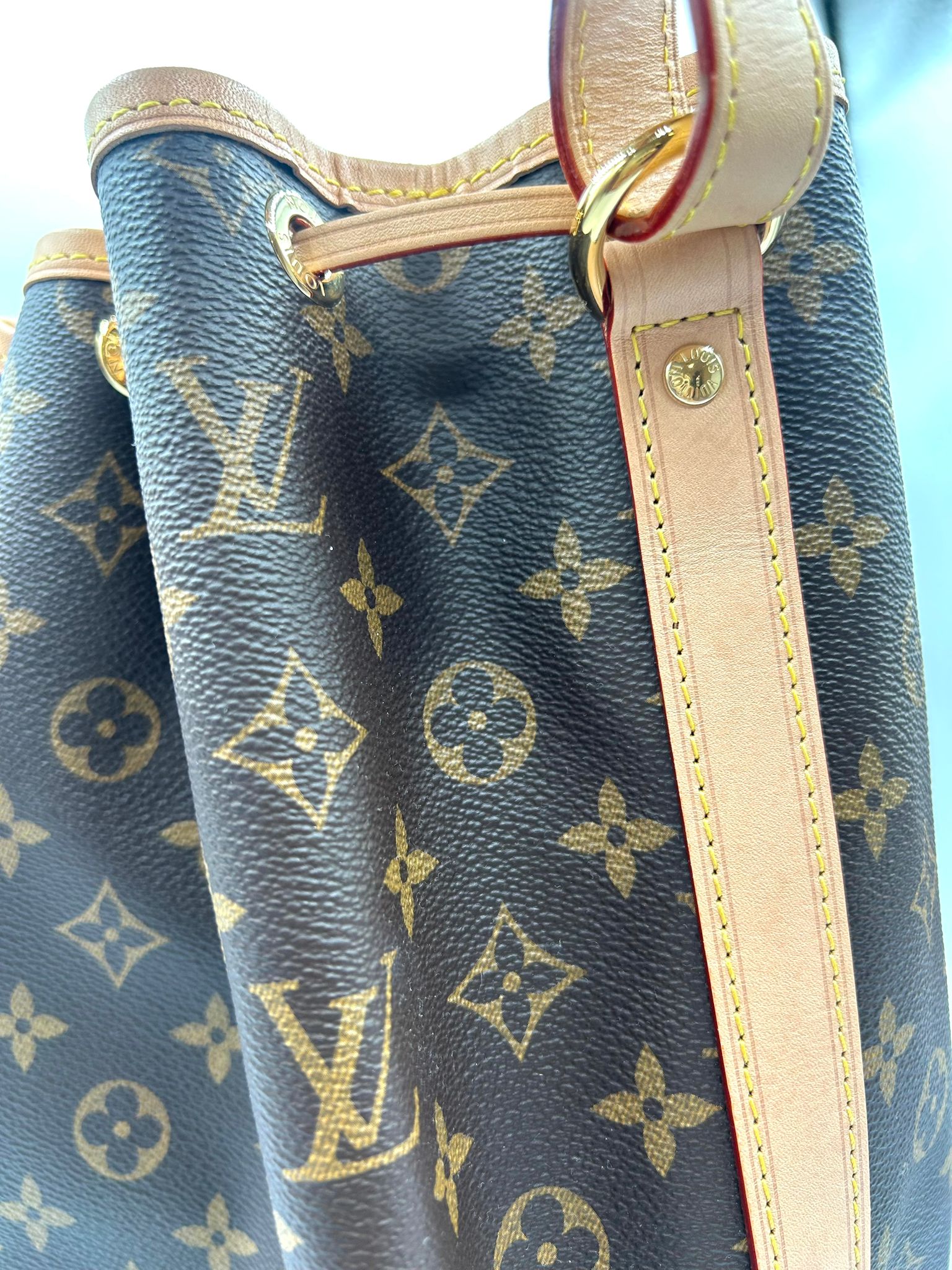 Louis Vuitton Noé Monogram