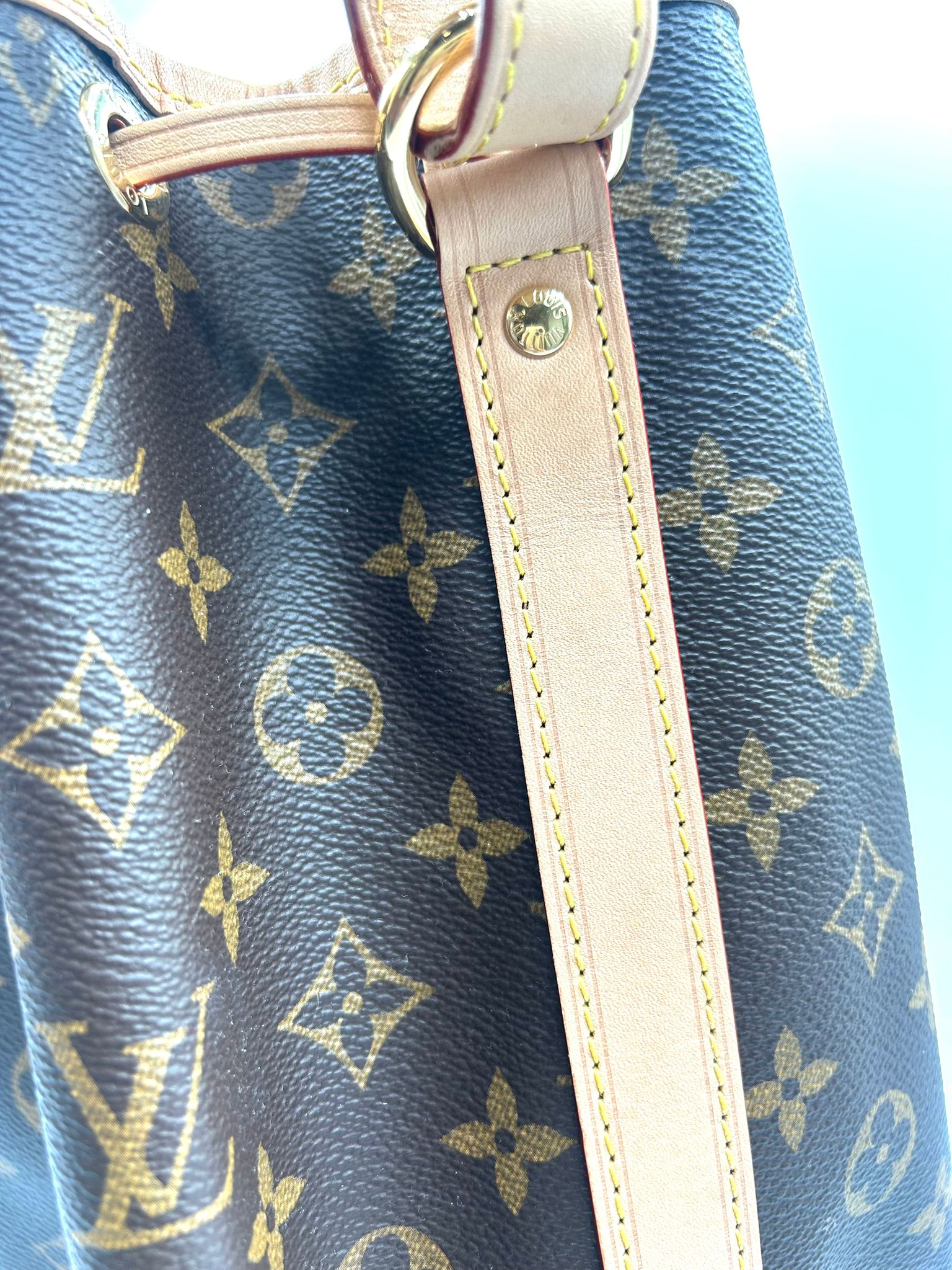 Louis Vuitton Noé Monogram