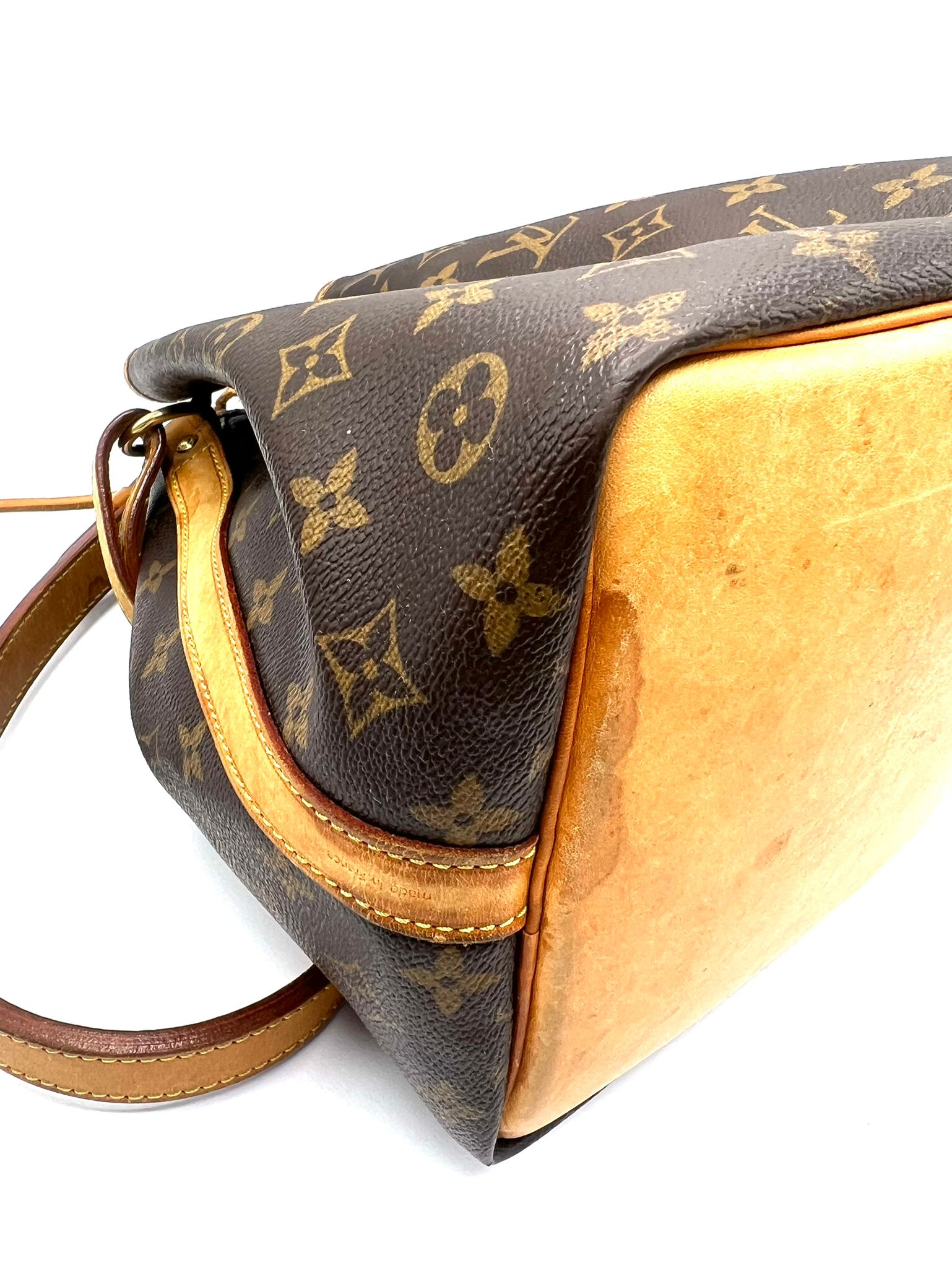 Louis Vuitton Noé Petit Monogram