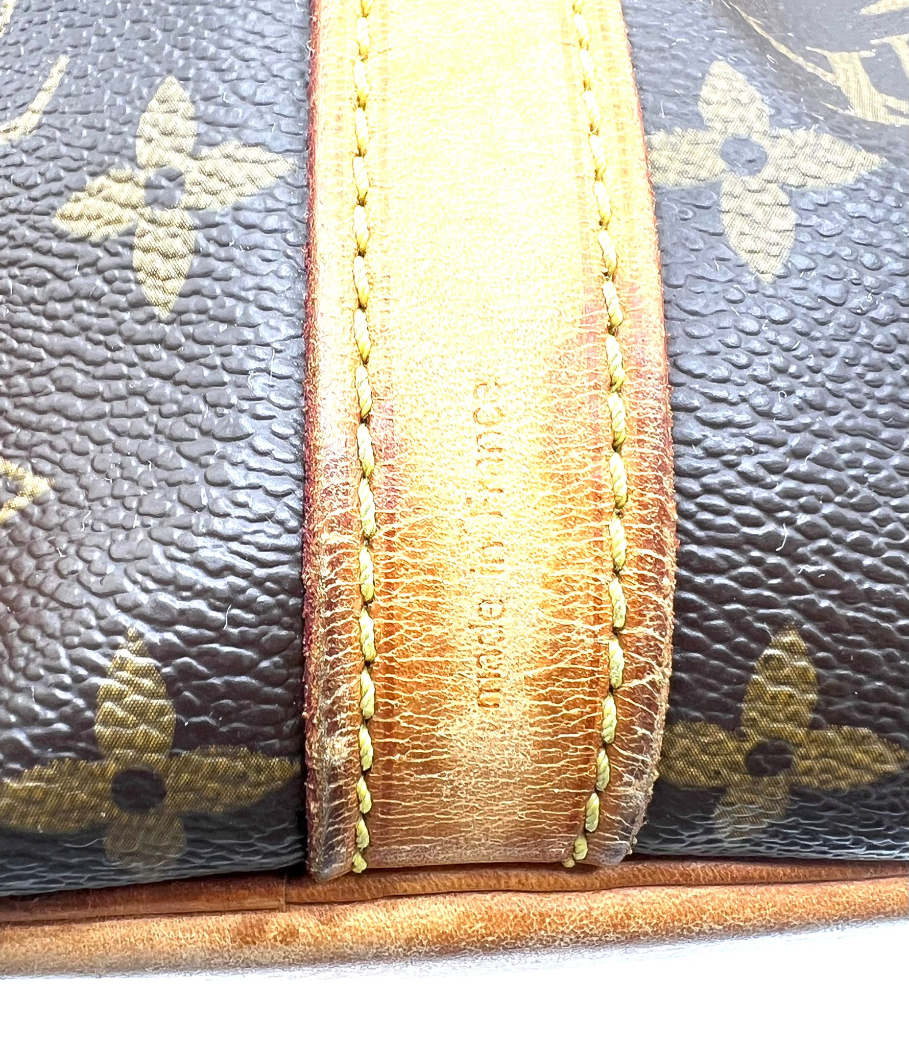 Louis Vuitton Noé Petit Monogram