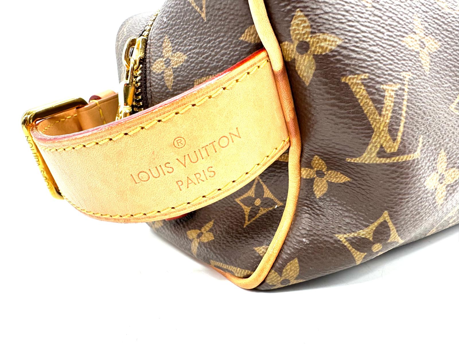 Louis Vuitton Trousse Toilette
