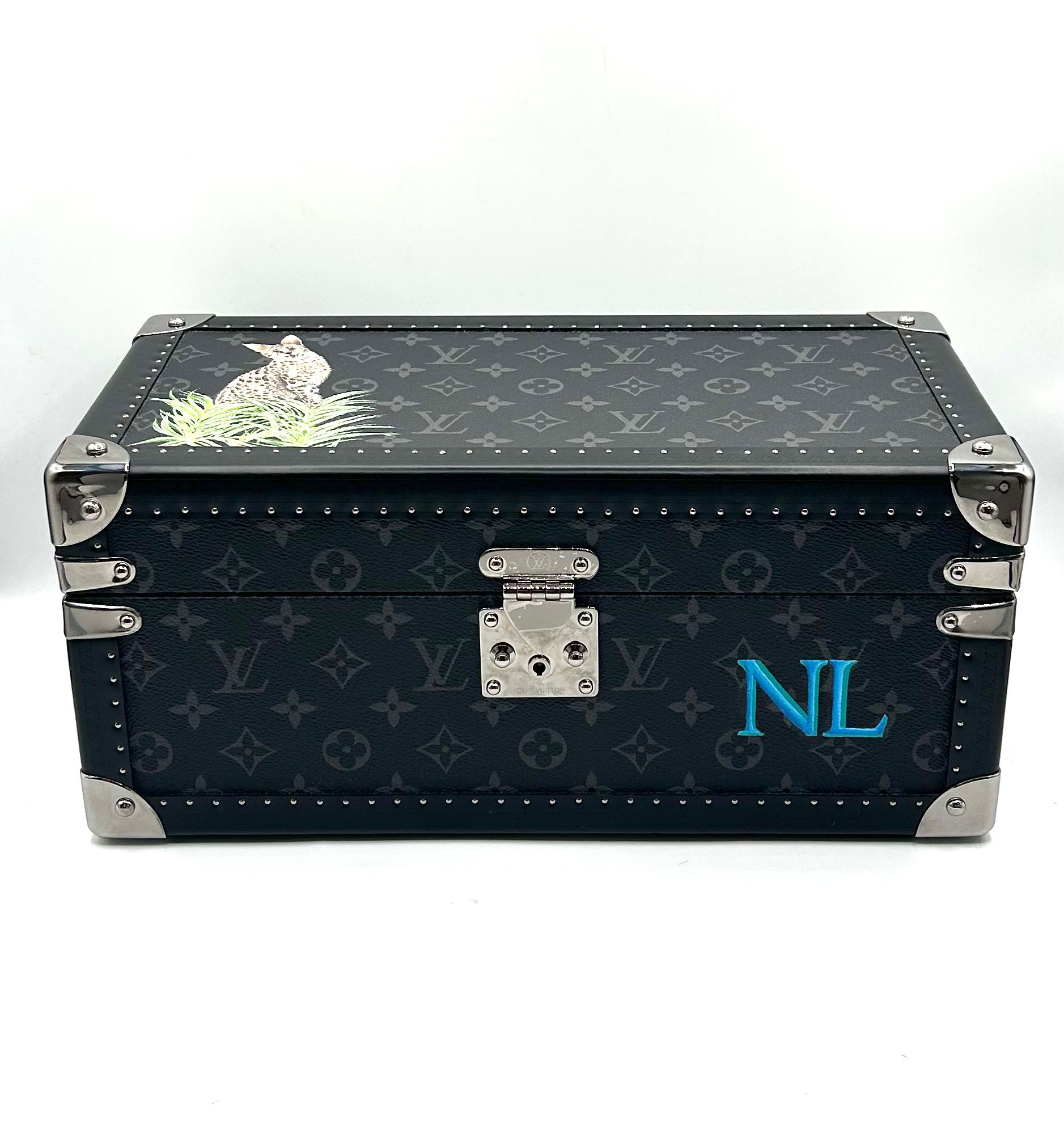 louis vuitton trunk