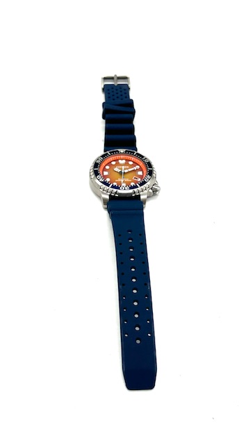 Orologio automatico Citizen Promaster Aqualand.
