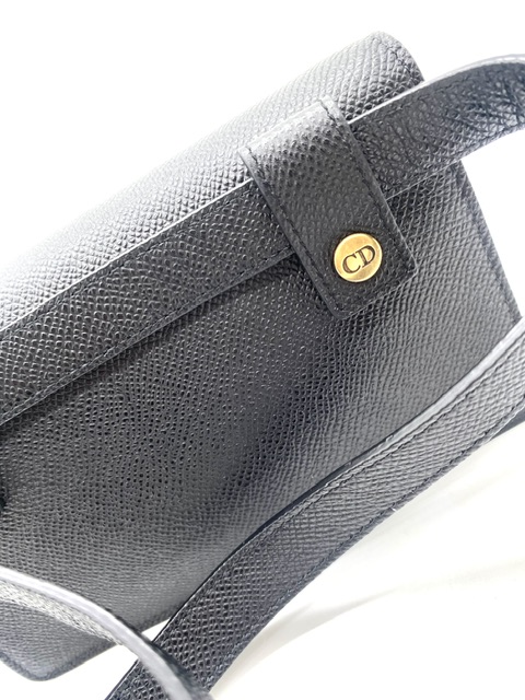 Riñonera Sadle Dior