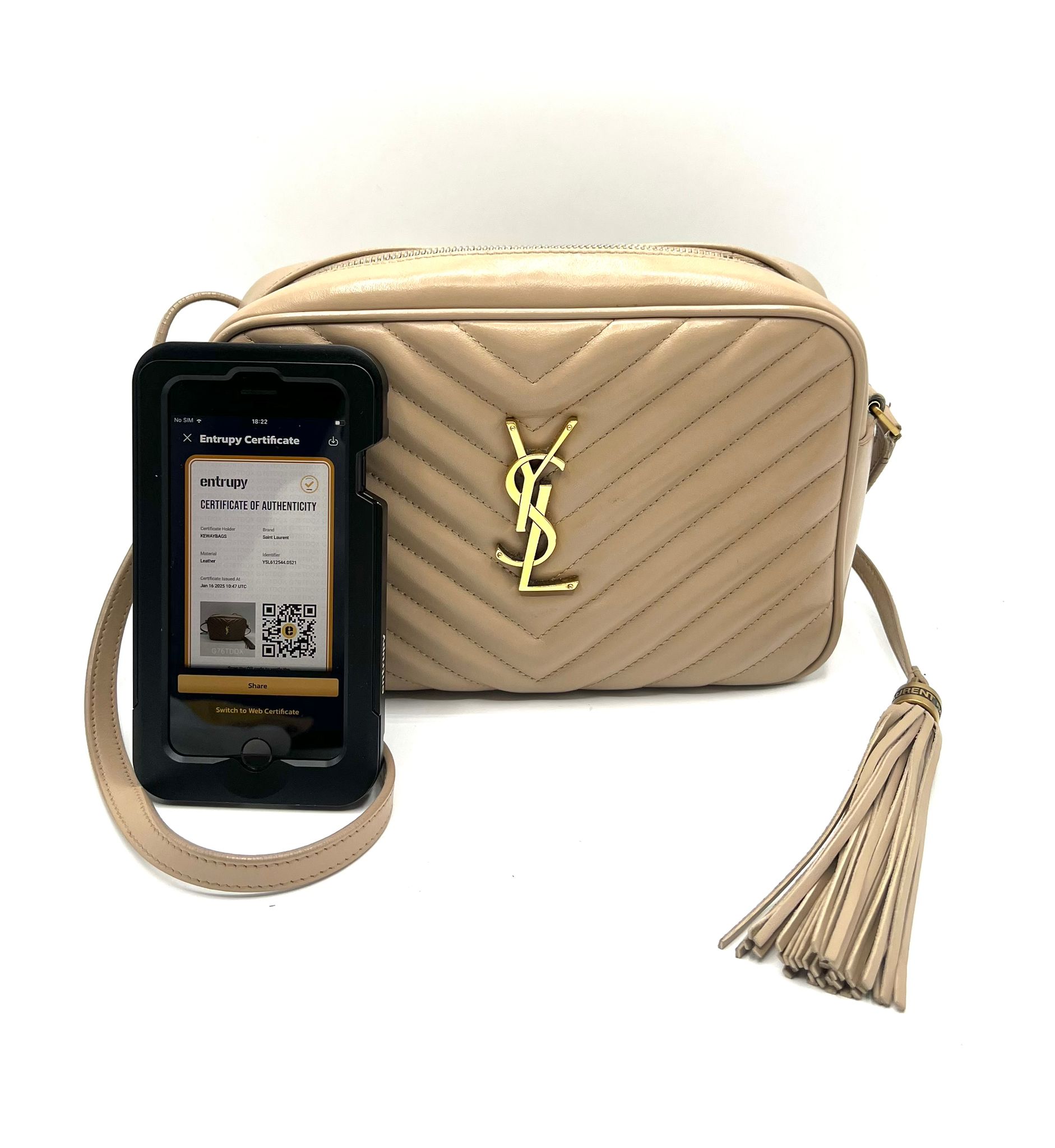 Saint Laurent Lou Camera Bag