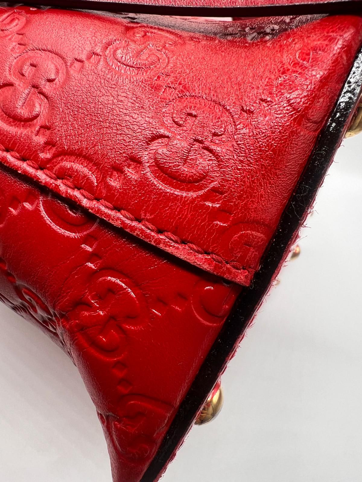 Signature Guccissima