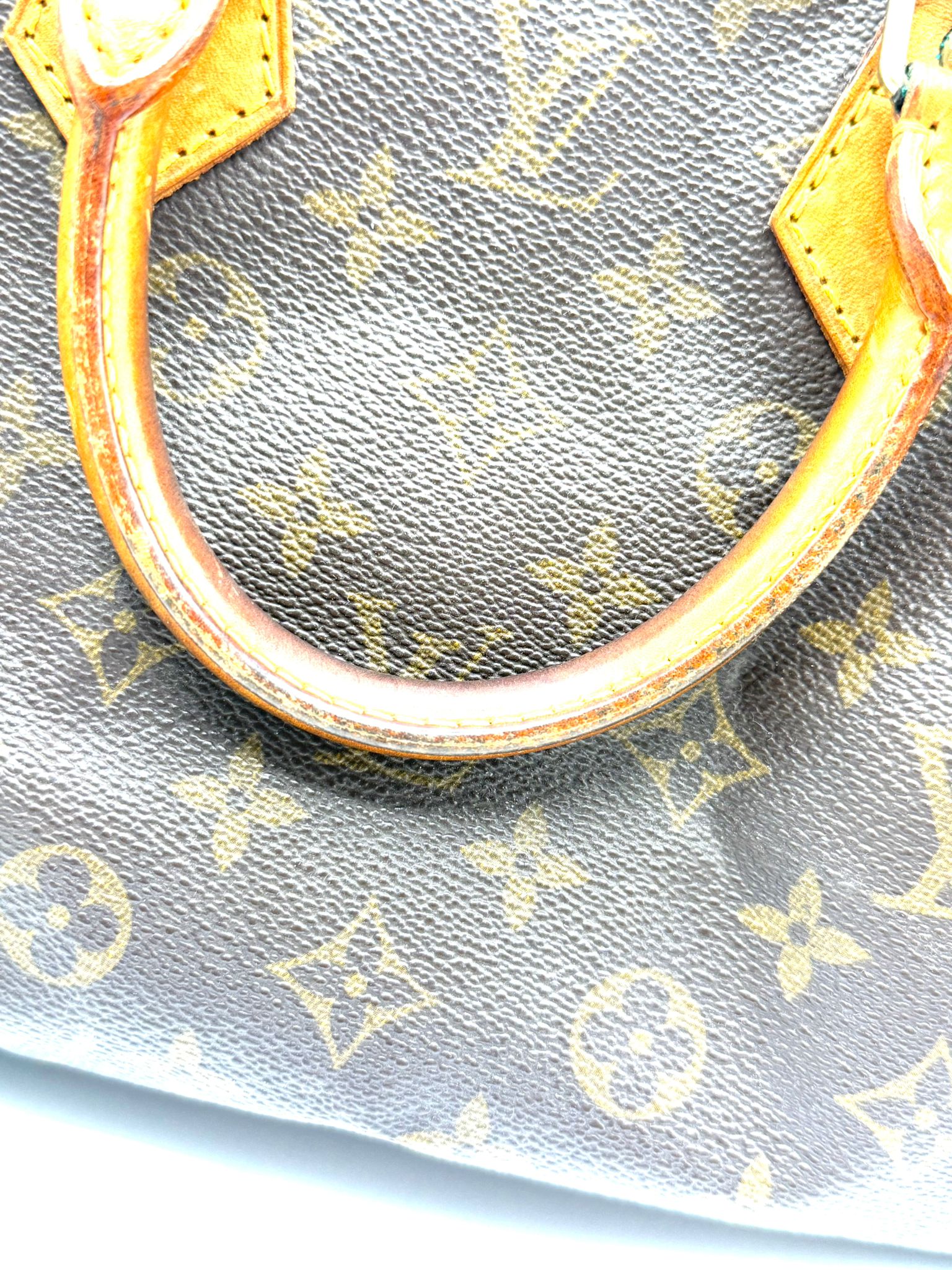 Speedy 25 Monogram Canvas